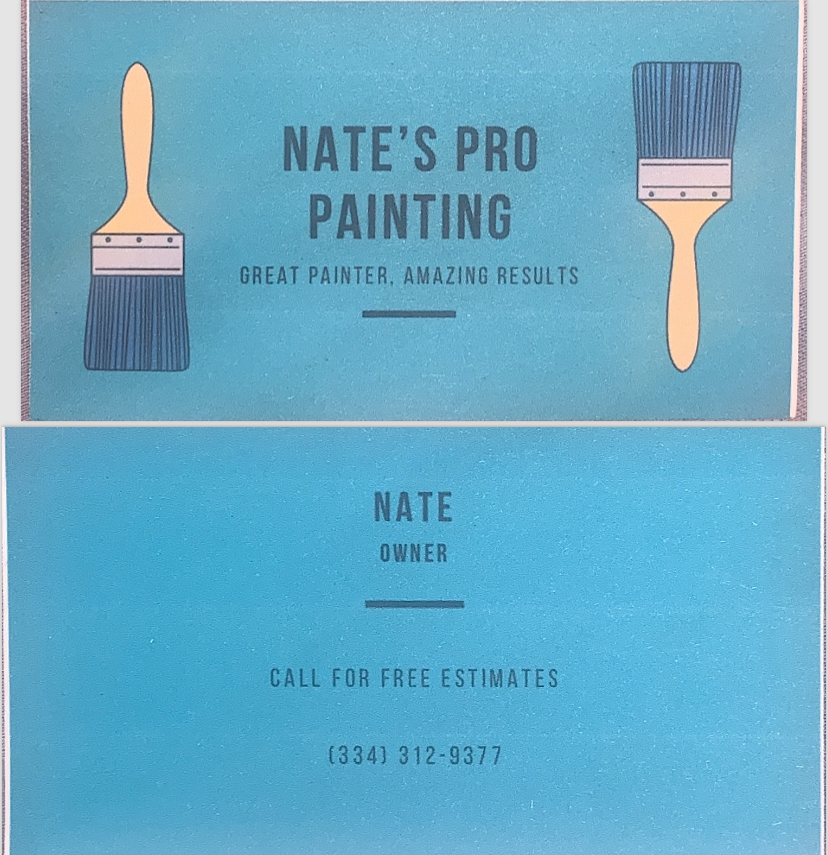 Avatar for Nate’s Pro Paints