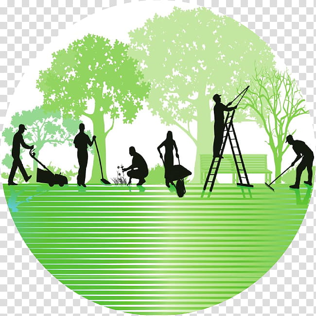 Avatar for Douglas lawn and landscaping
