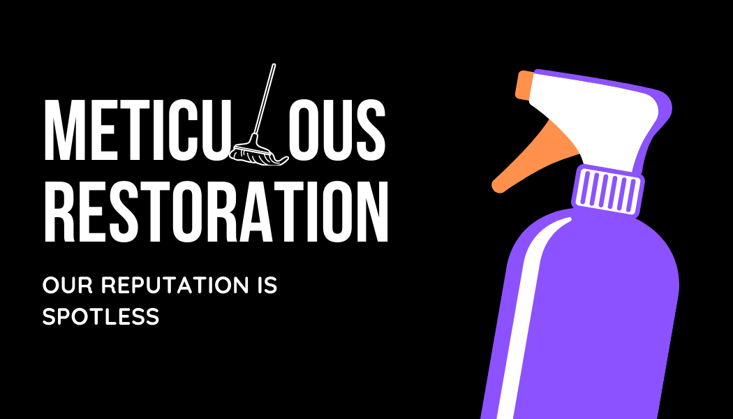 Meticulous Restoration LLC logo