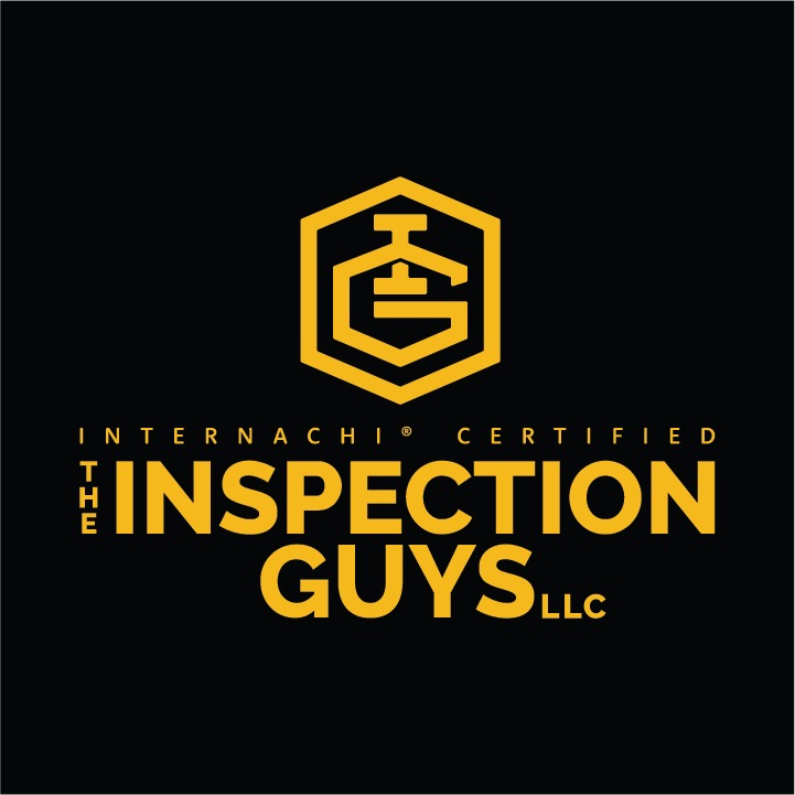 The Inspection Guys LLC logo