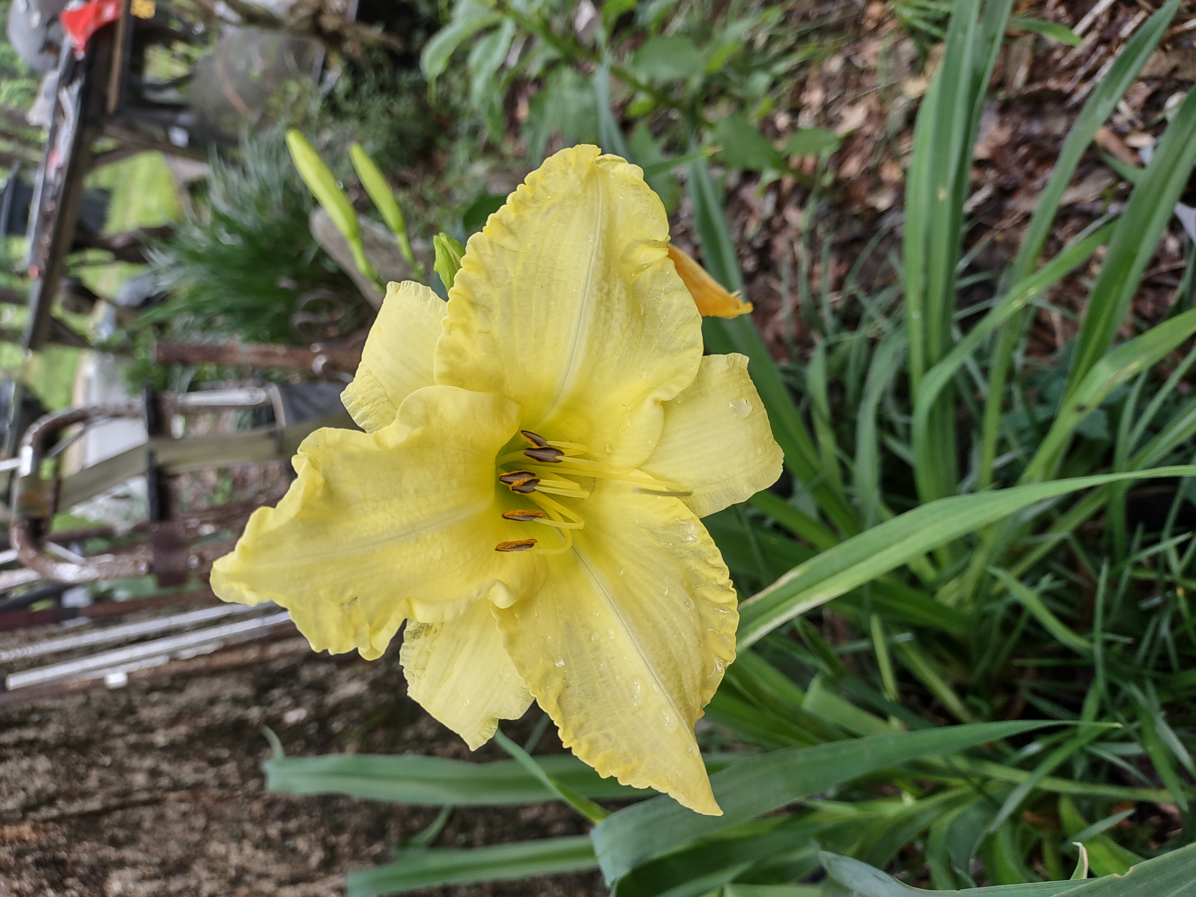 Avatar for Mason Guillaume