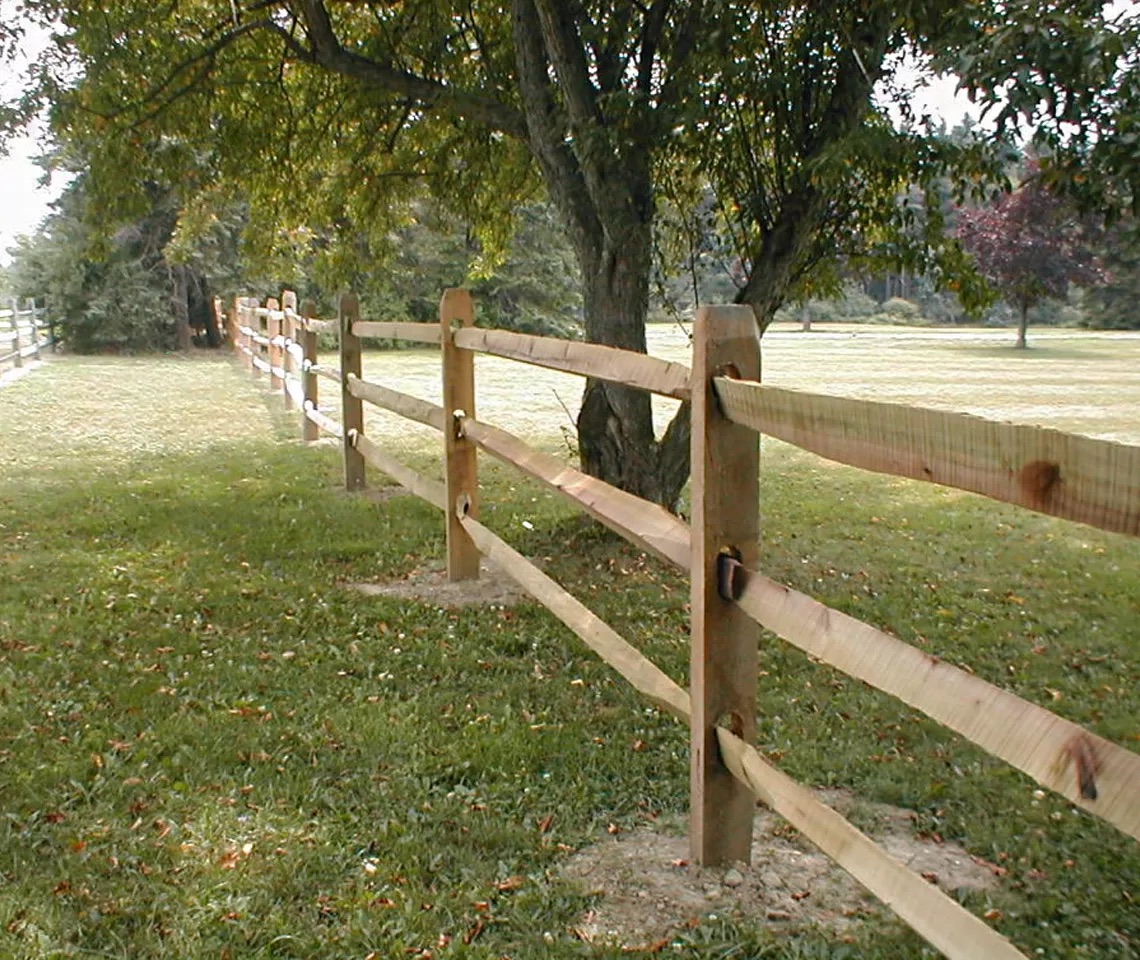 Avatar for king of the hill fencing
