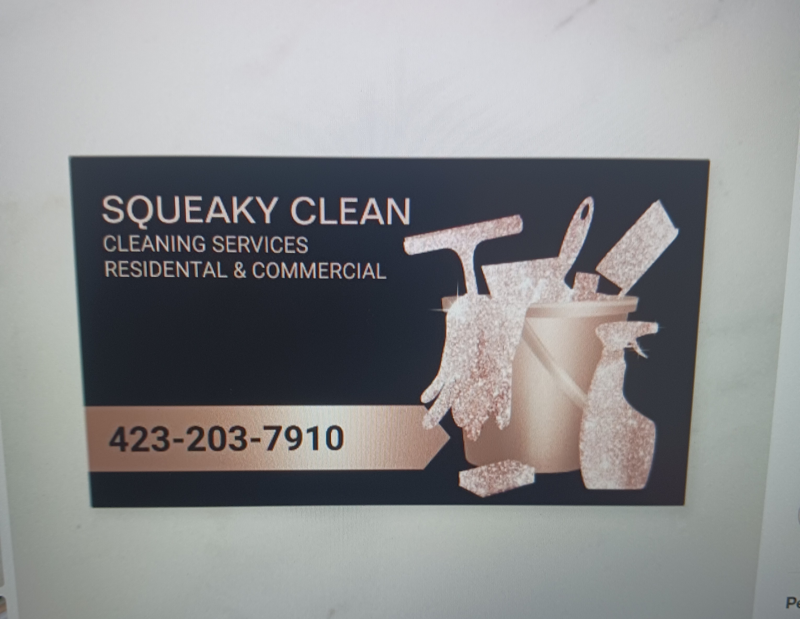 Squeaky clean logo
