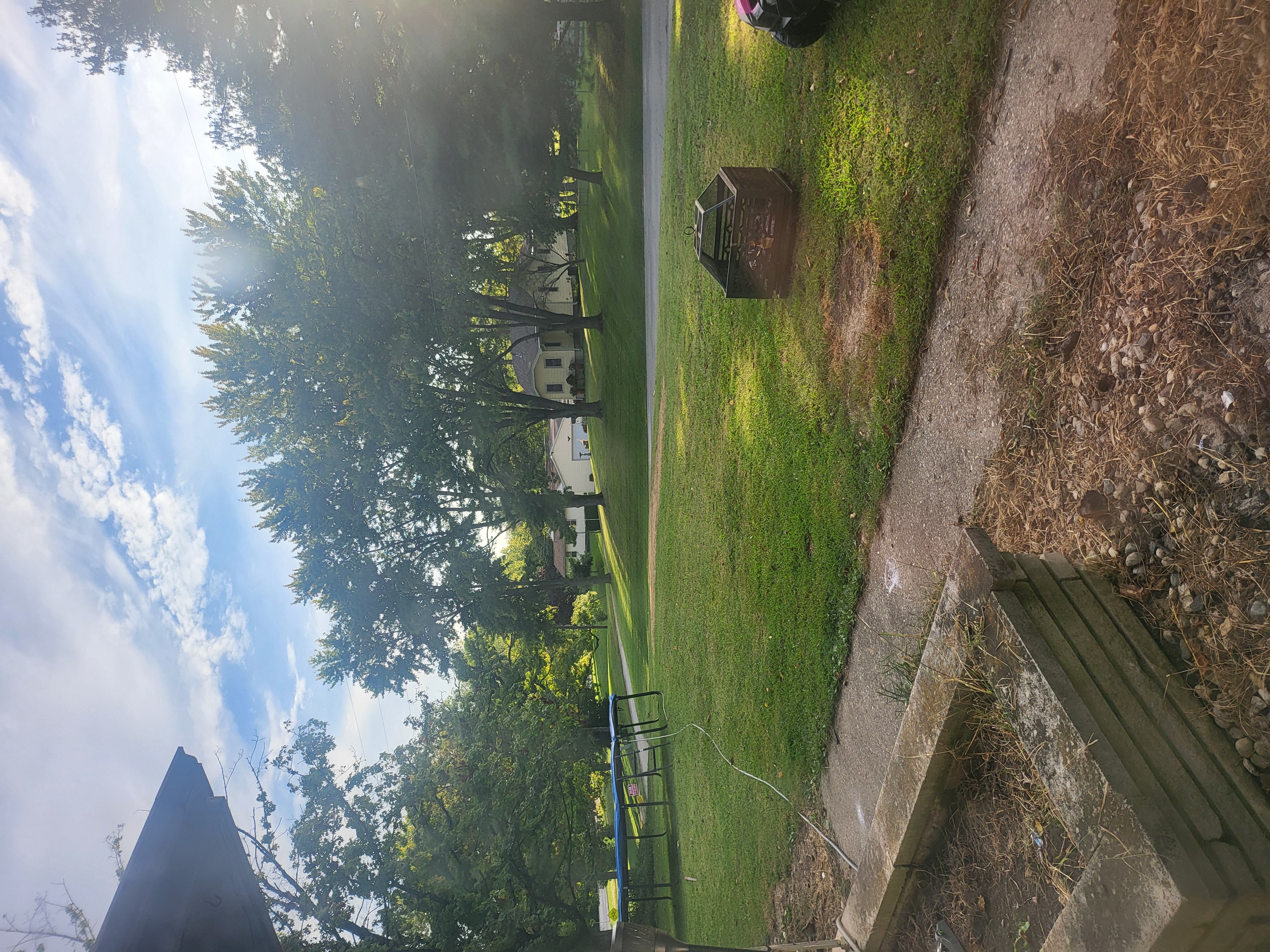 Avatar for Wisemans lawncare