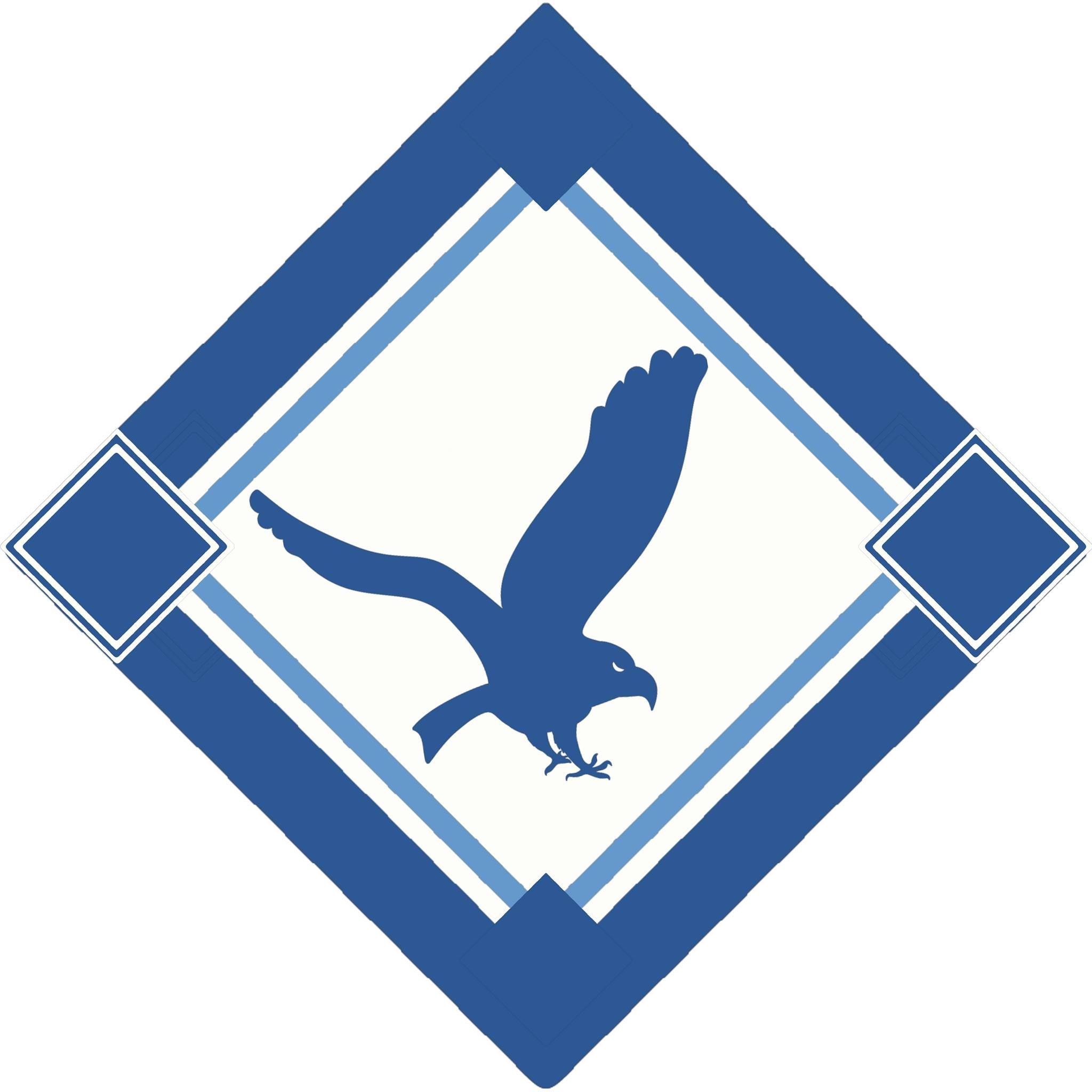 Avatar for Blue Eagle Co Inc