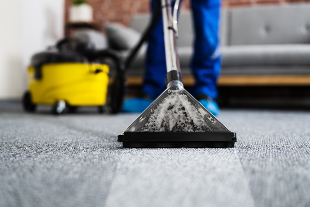 Daniel's general cleaning logo