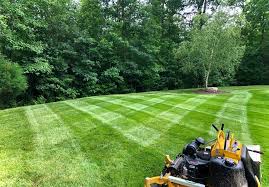 Ortiz lawncare logo