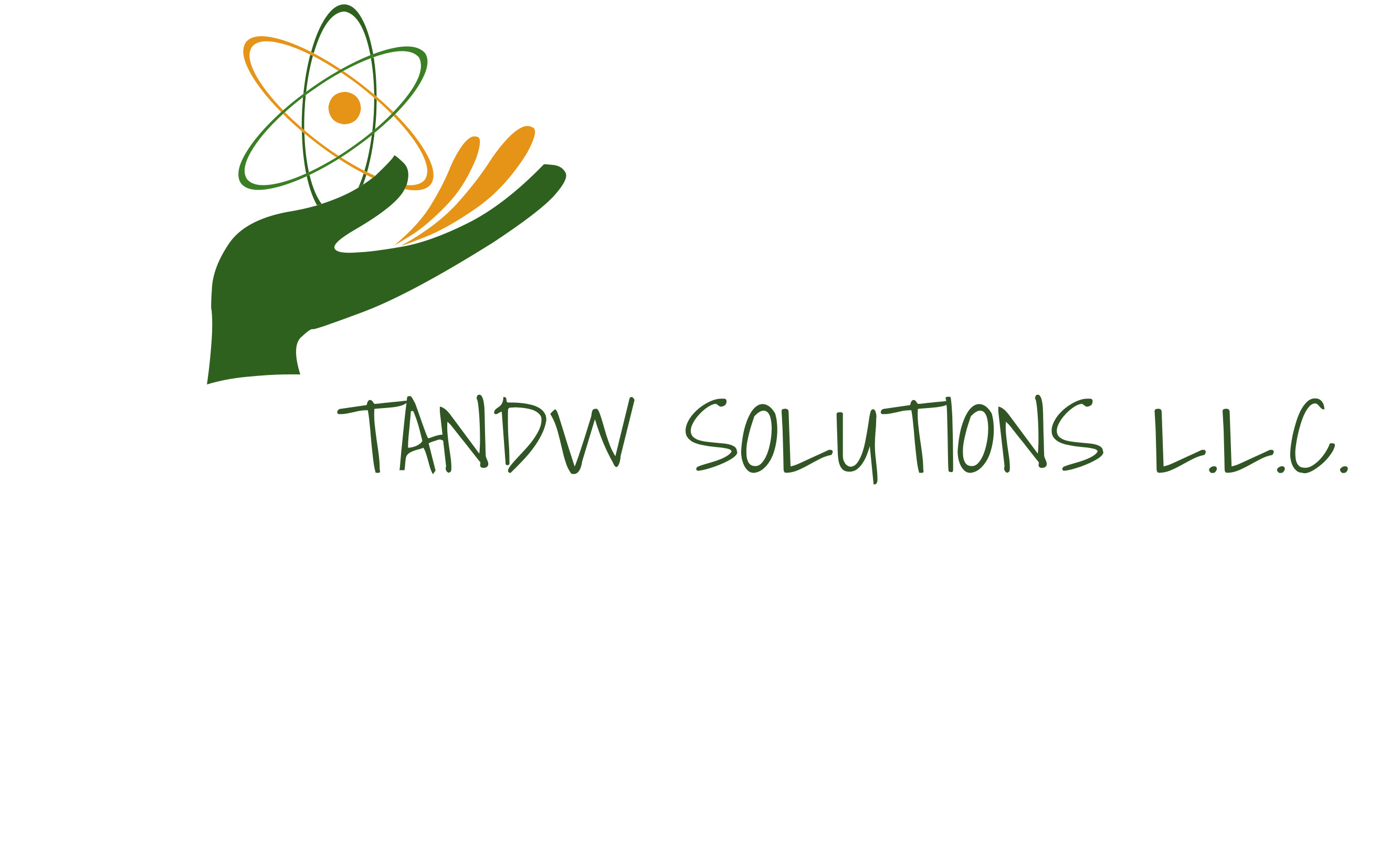 TANDWSOLUTIONS LLC logo