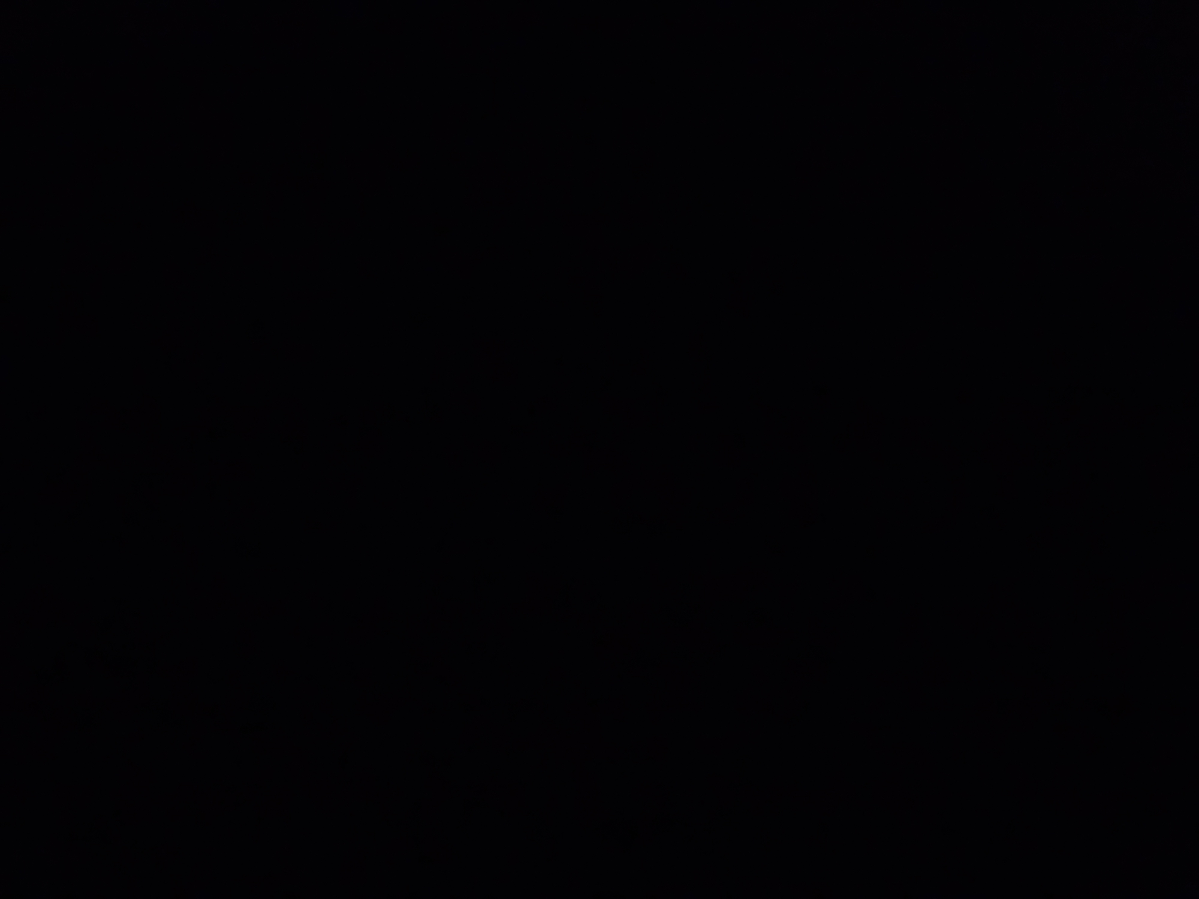 Santana logo