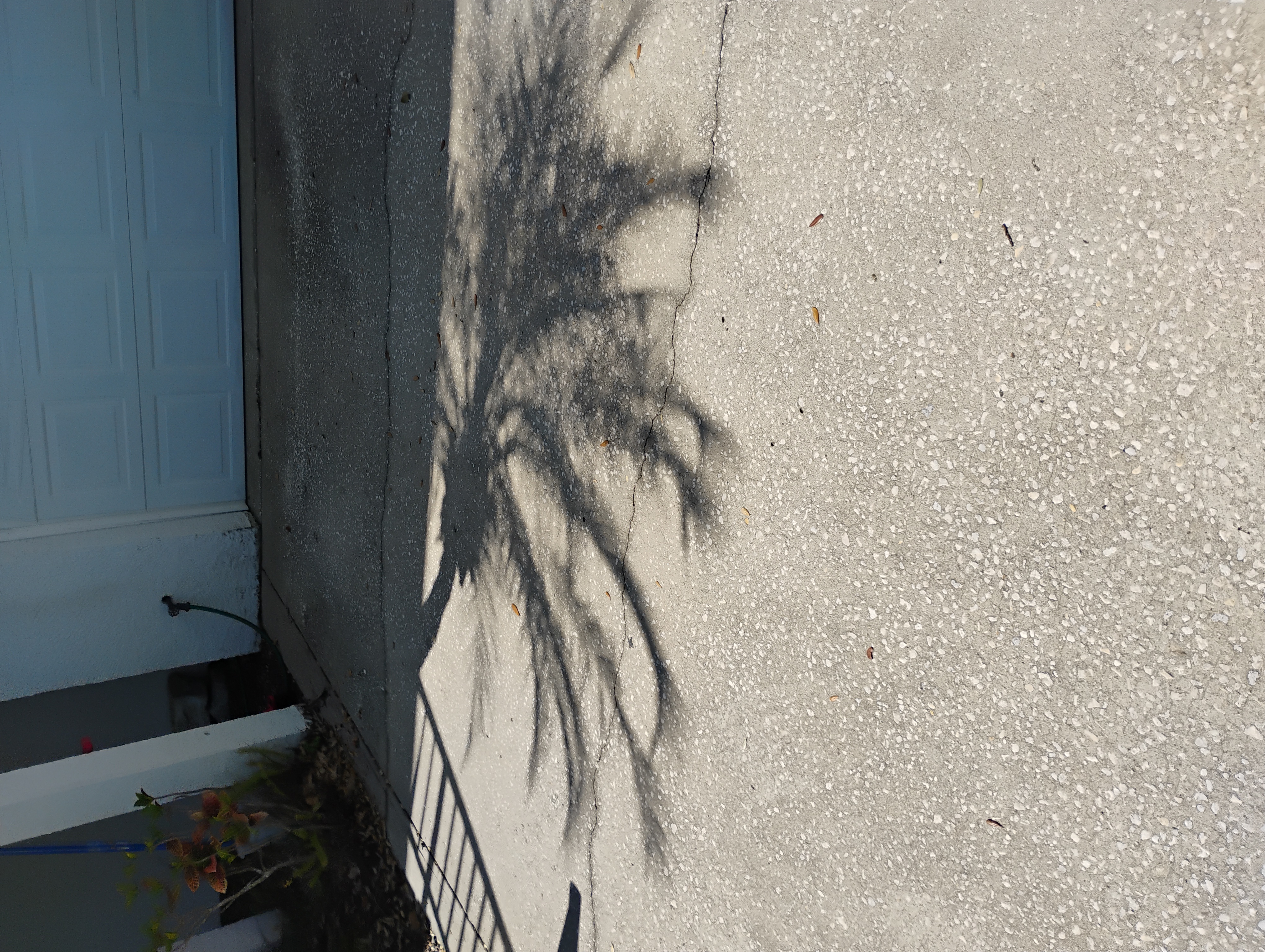 Rodney pressure Washing an more speciallist logo