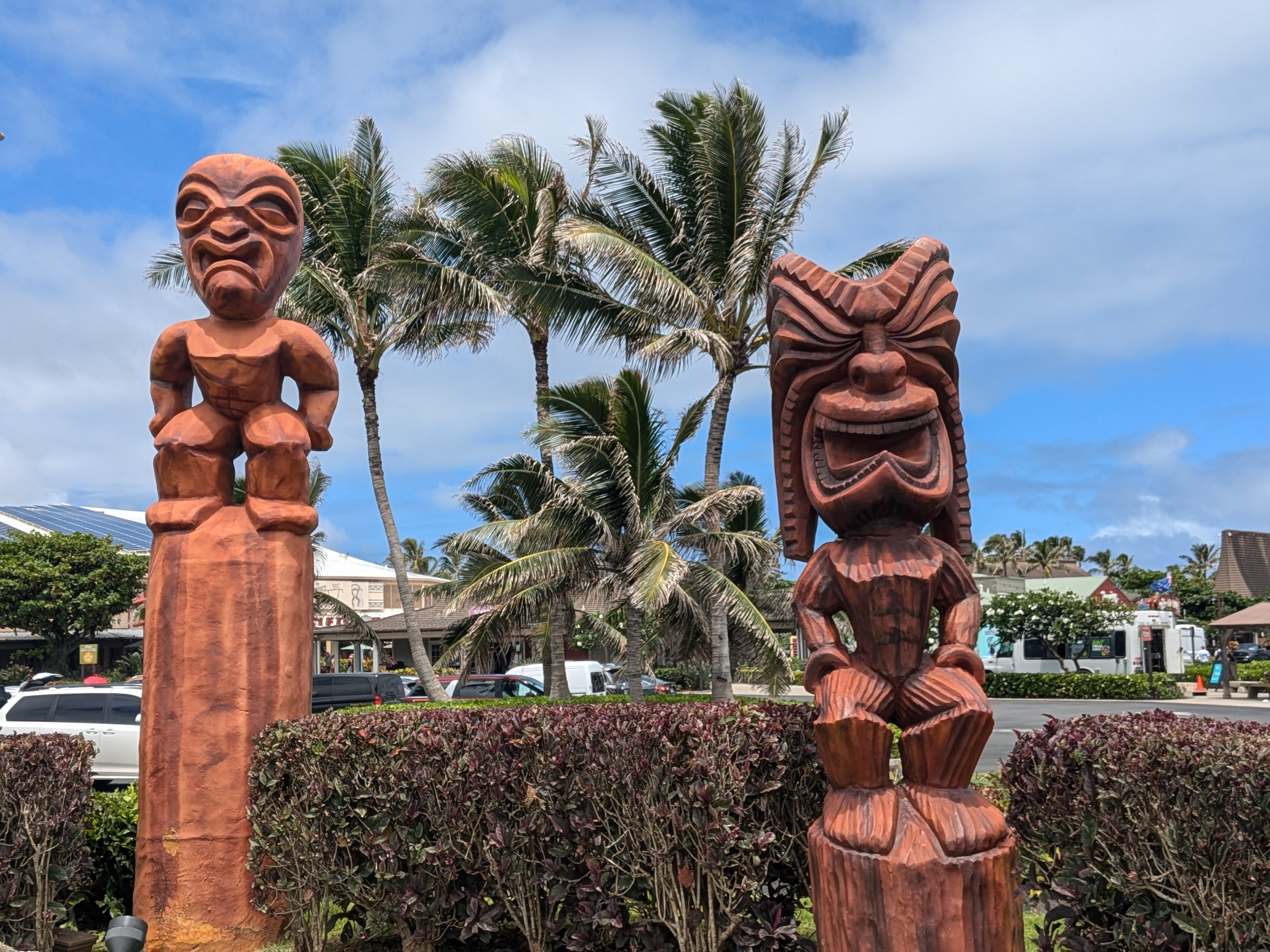 Aloha Tree Savers logo
