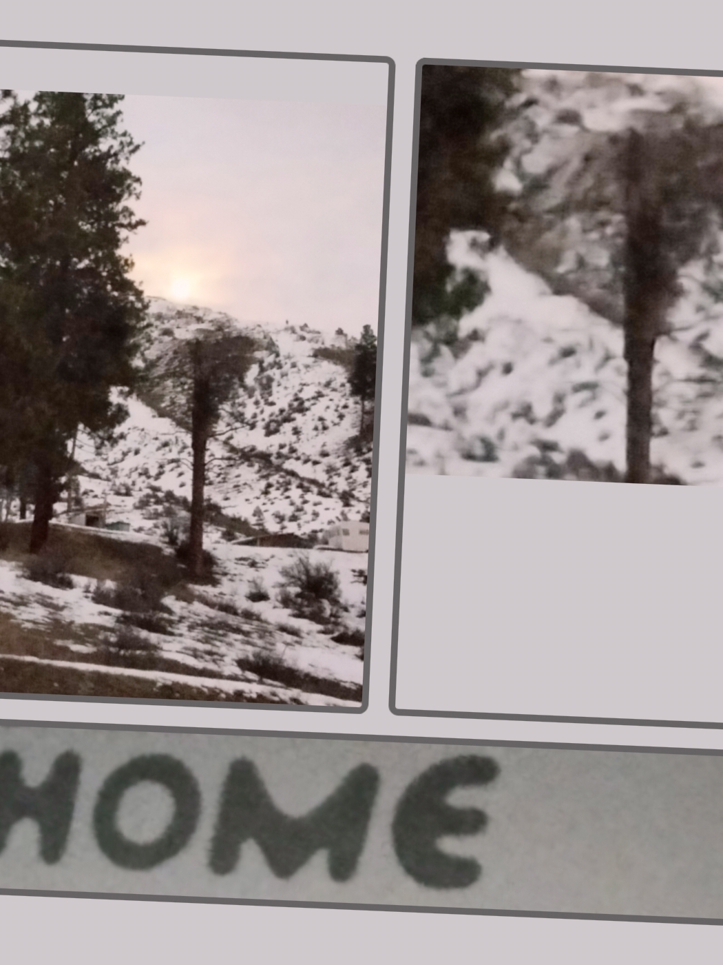 Avatar for Demo Treees Clean Ups