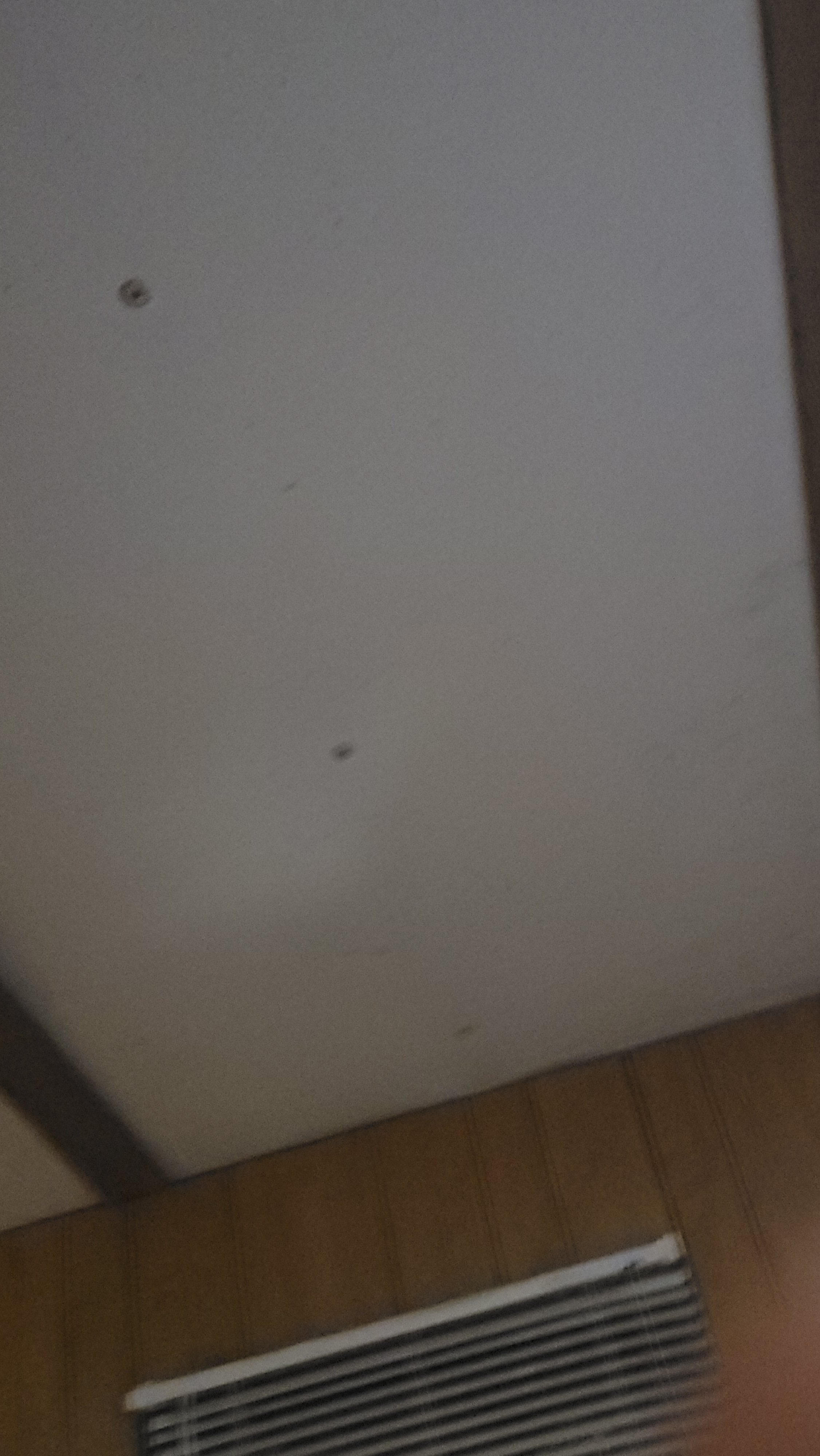 Avatar for djeowoqjf f saisoosx