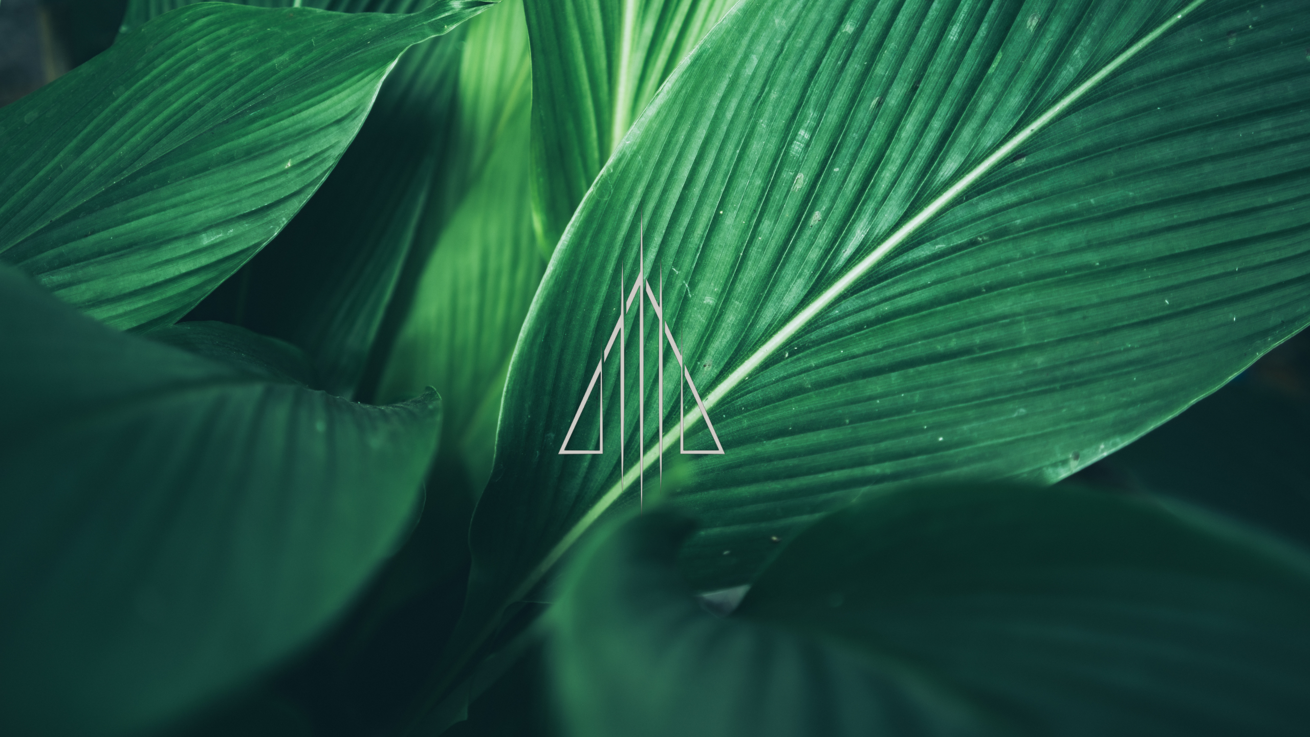 Avatar for TCT Botanicals
