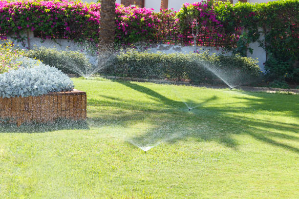 Hernandez Irrigation and Design logo