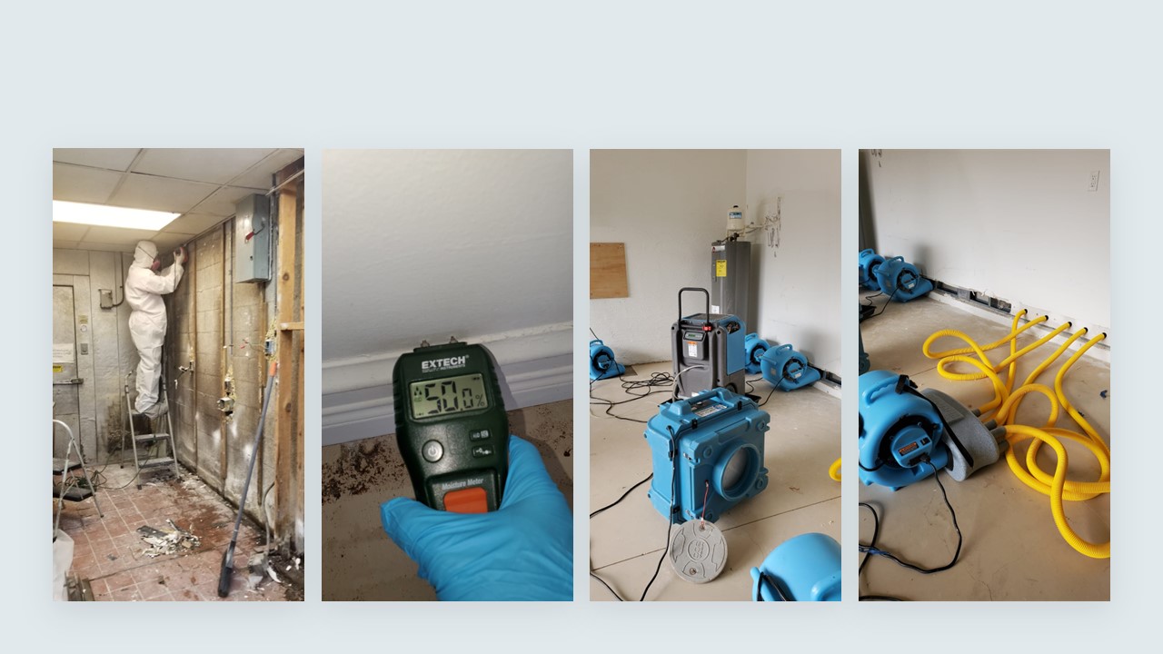 Avatar for W. E. S. Corp. Water Mitigation