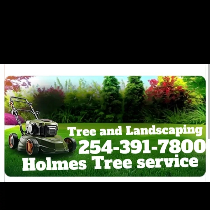 Holmes Tree service logo