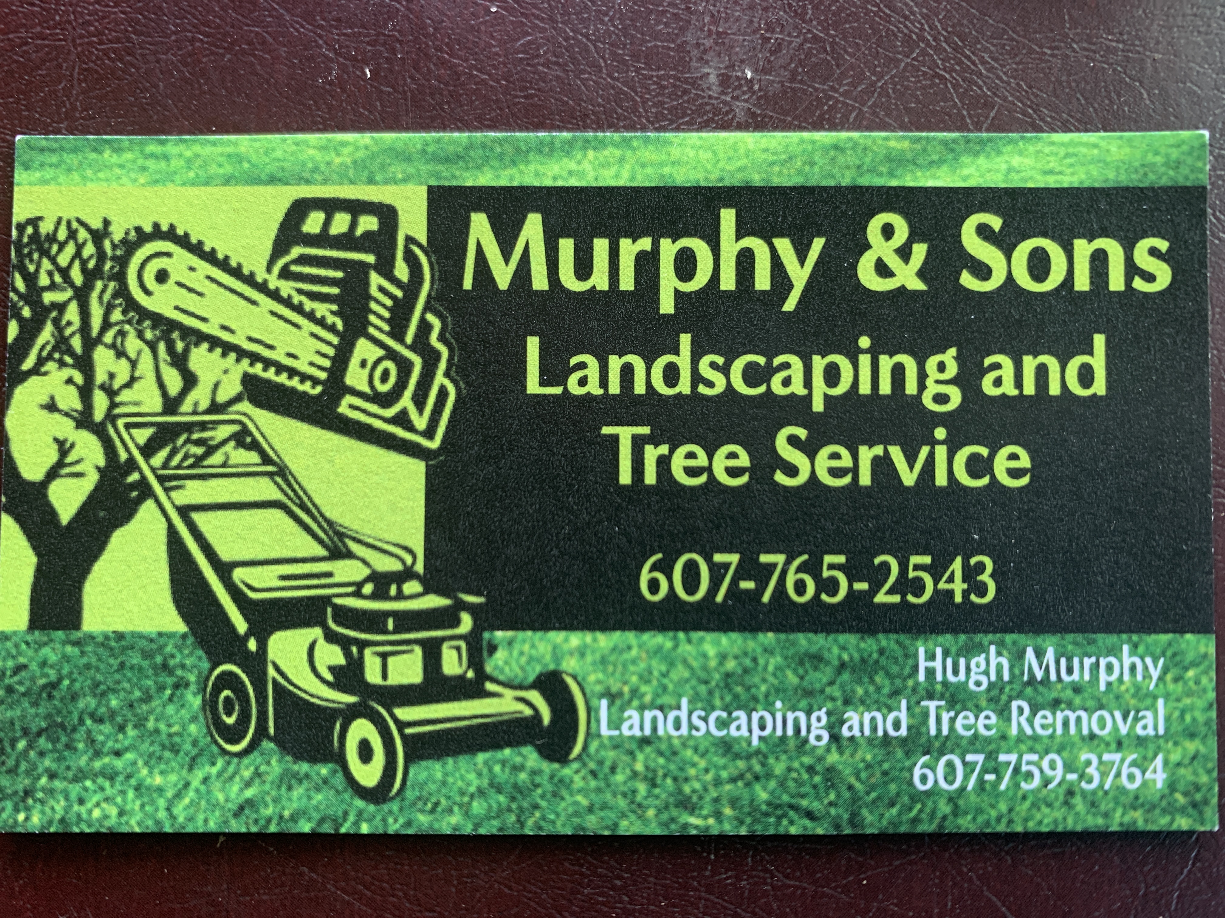 Murphy and sons logo