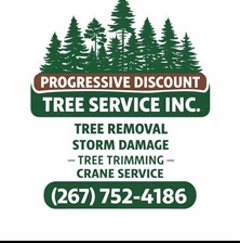 Avatar for Progressive Discount Tree Service