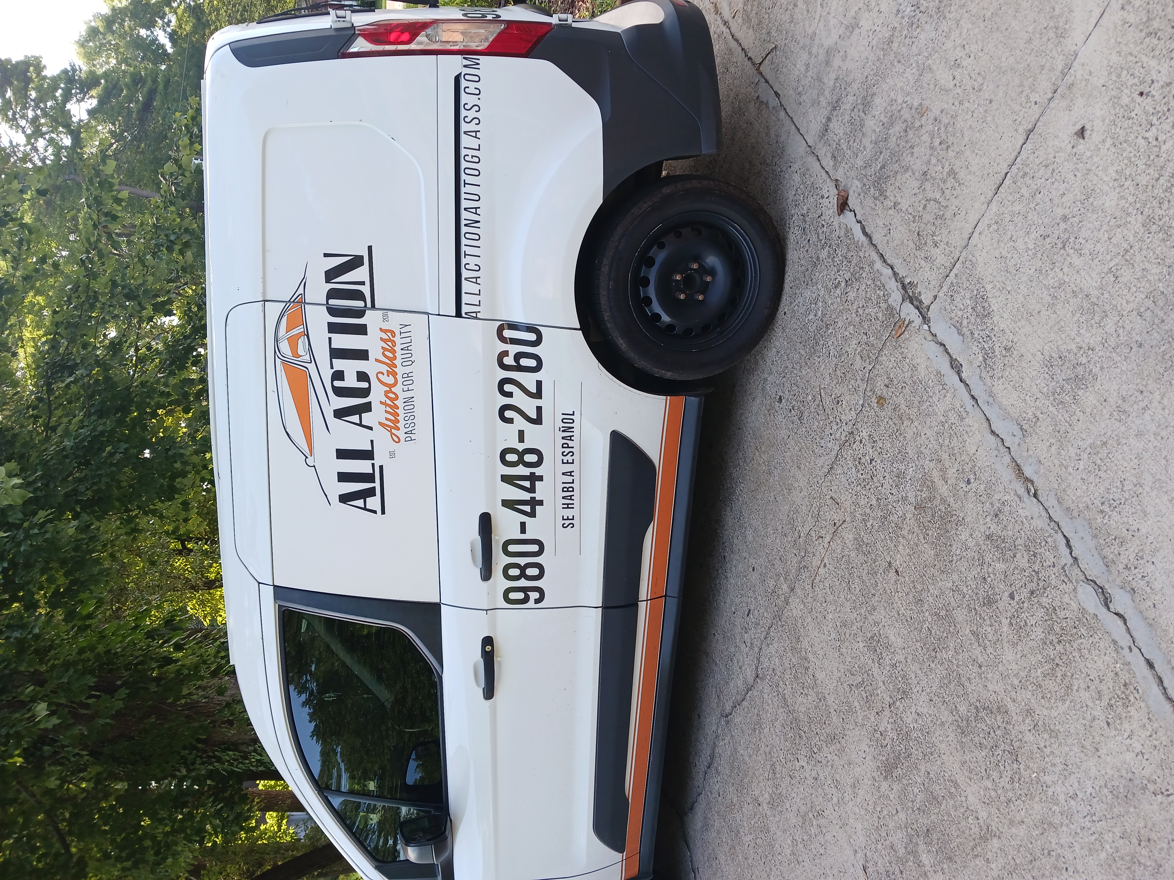 All Action Auto Glass logo