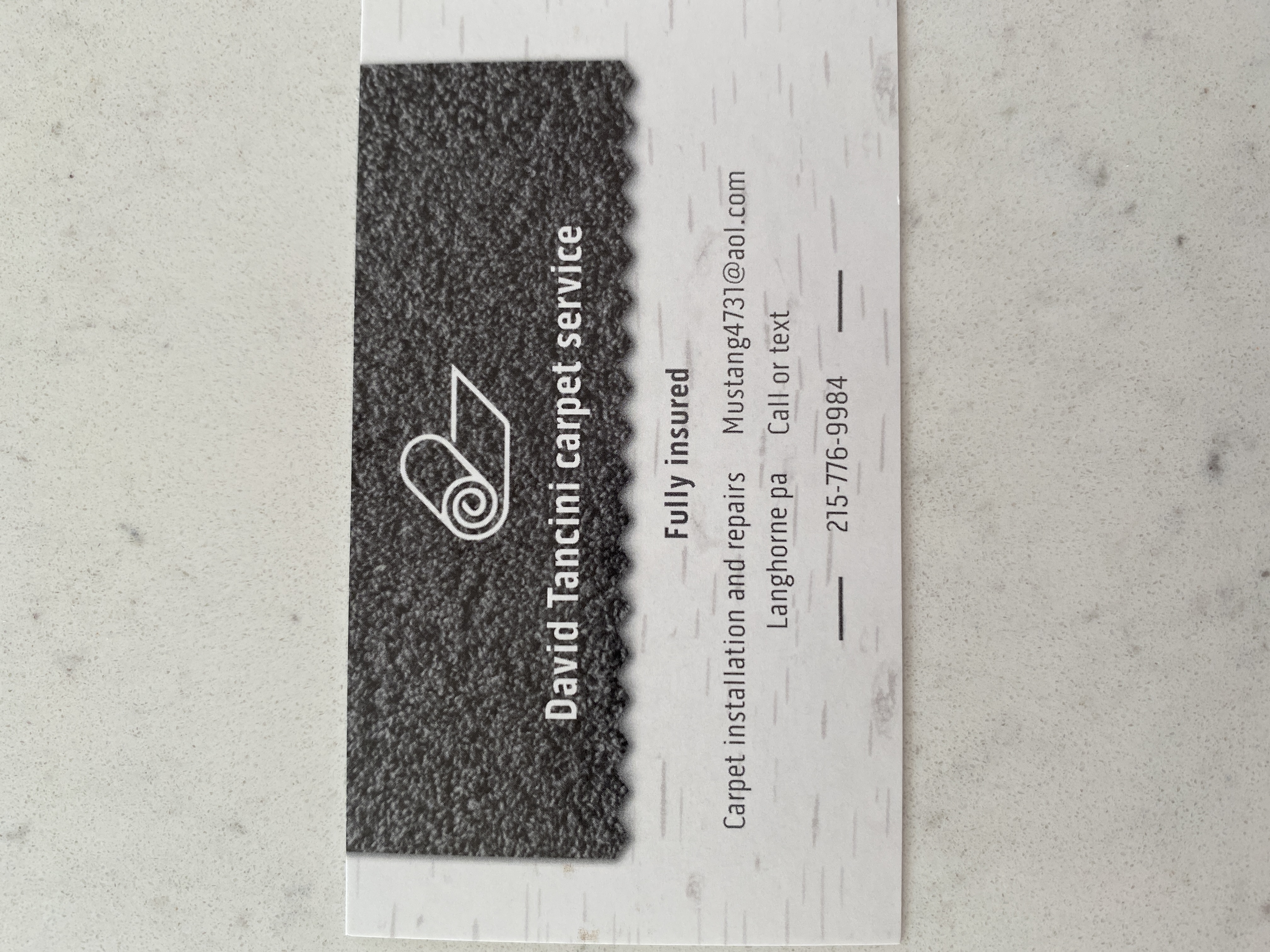 Tancini carpet service logo