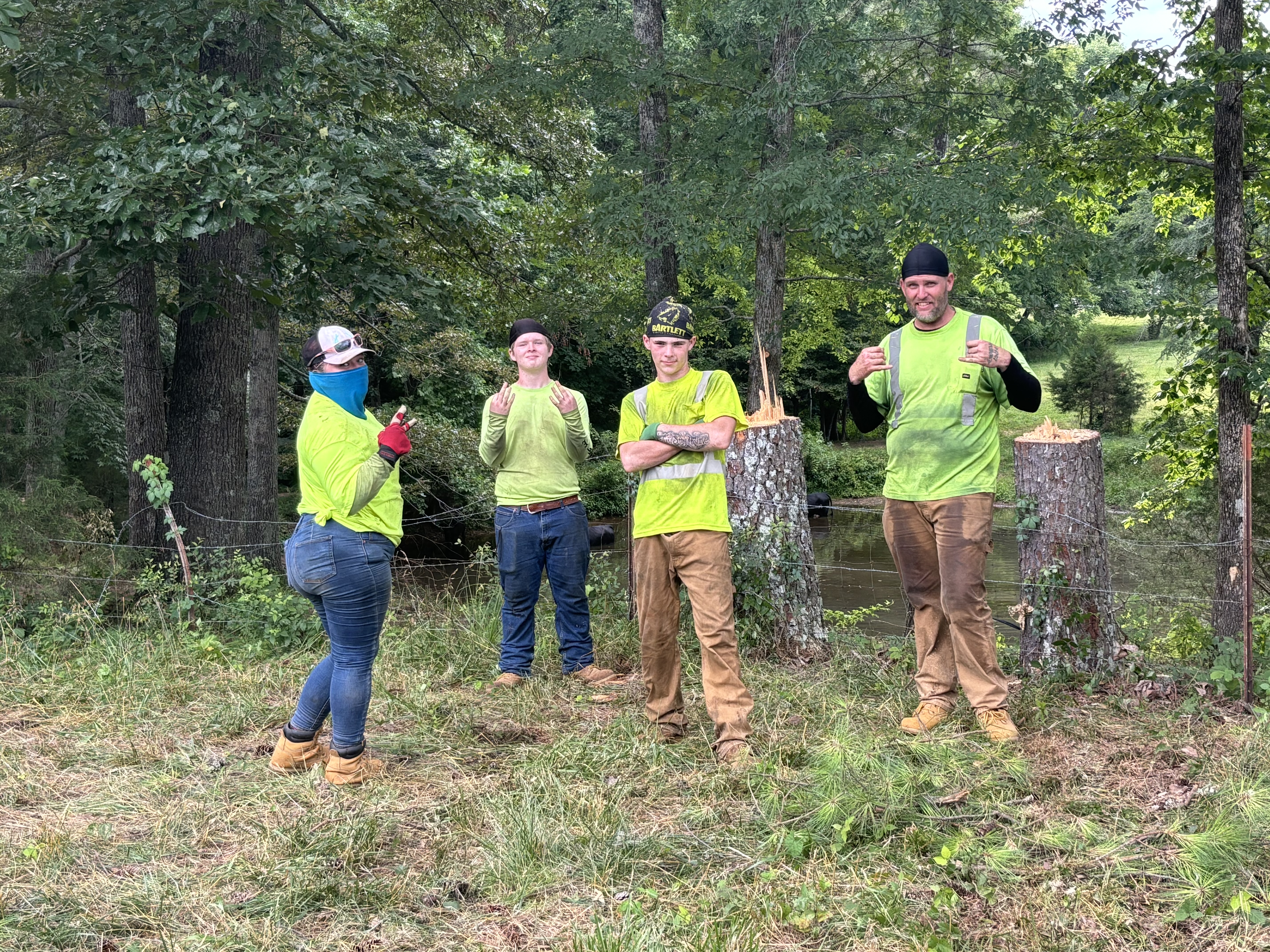 Mr.Tree service logo