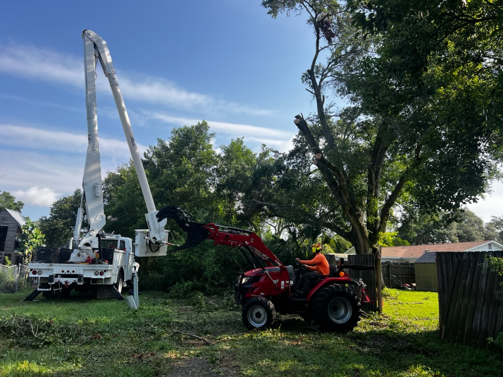 The vine tree service logo
