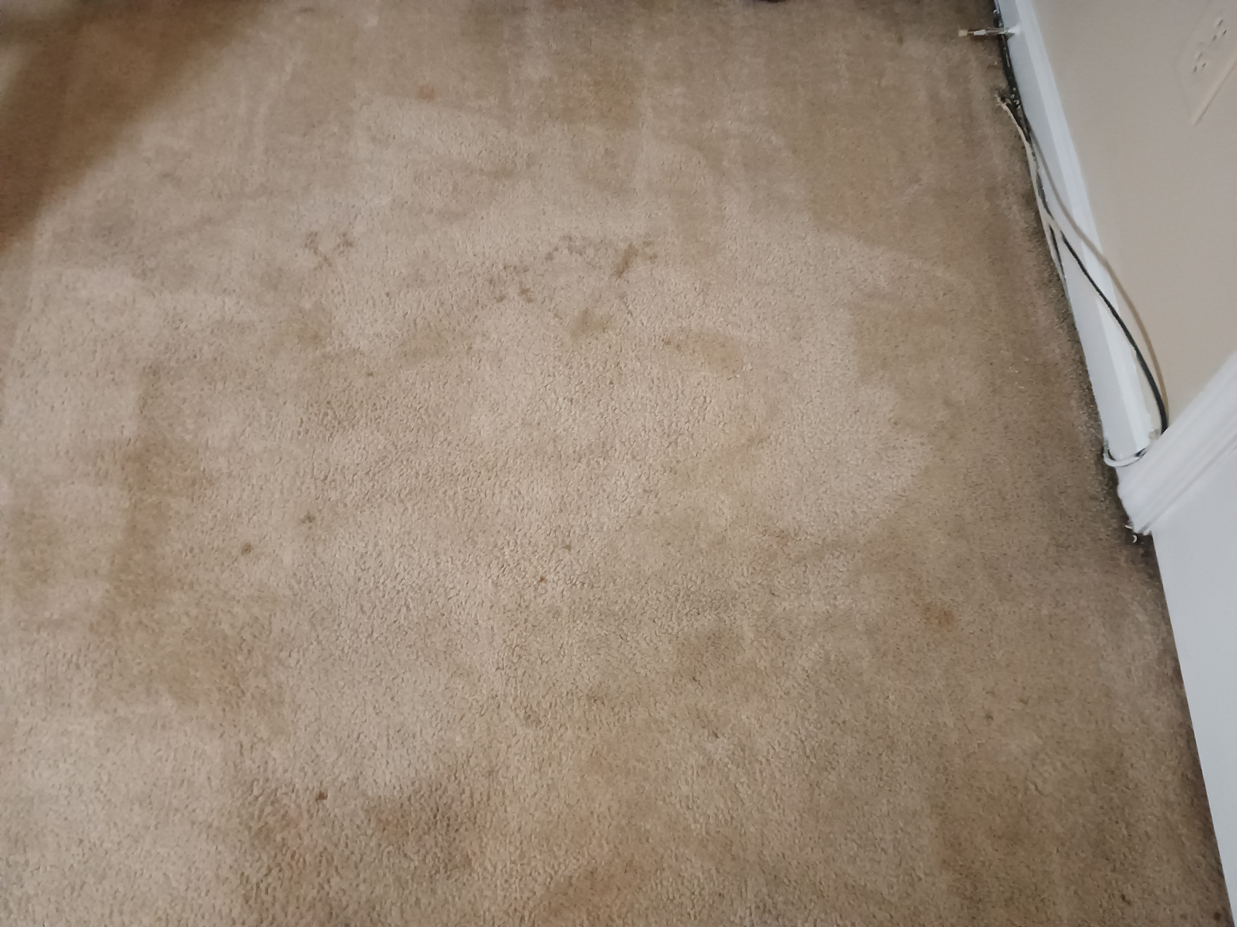 Mr T's Carpet Care logo