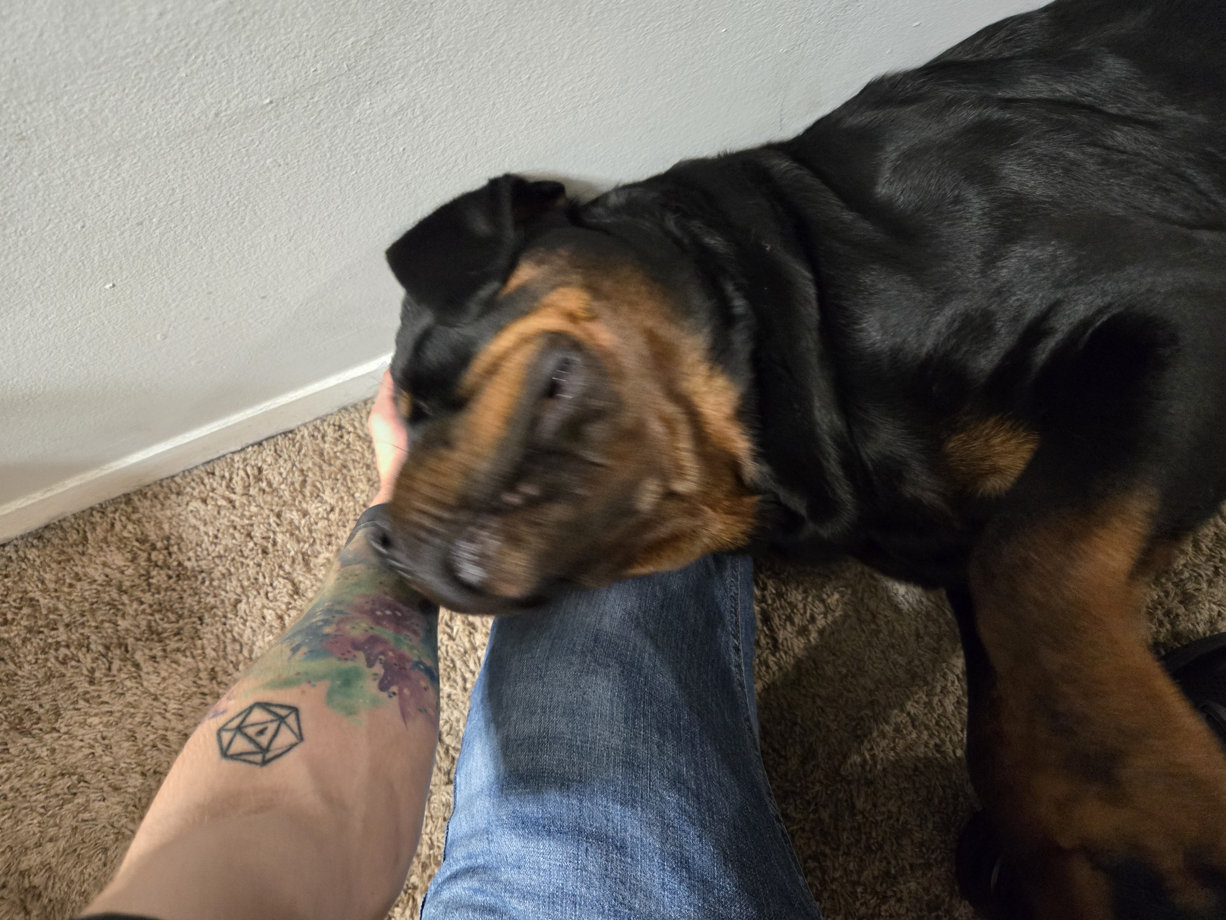 Avatar for OhSeeDee Pressure Washing