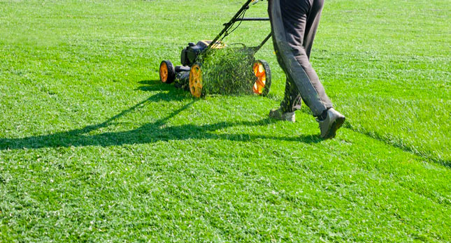 Avatar for Cashmans lawn care and landscape