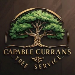 Capable Currans LLC logo
