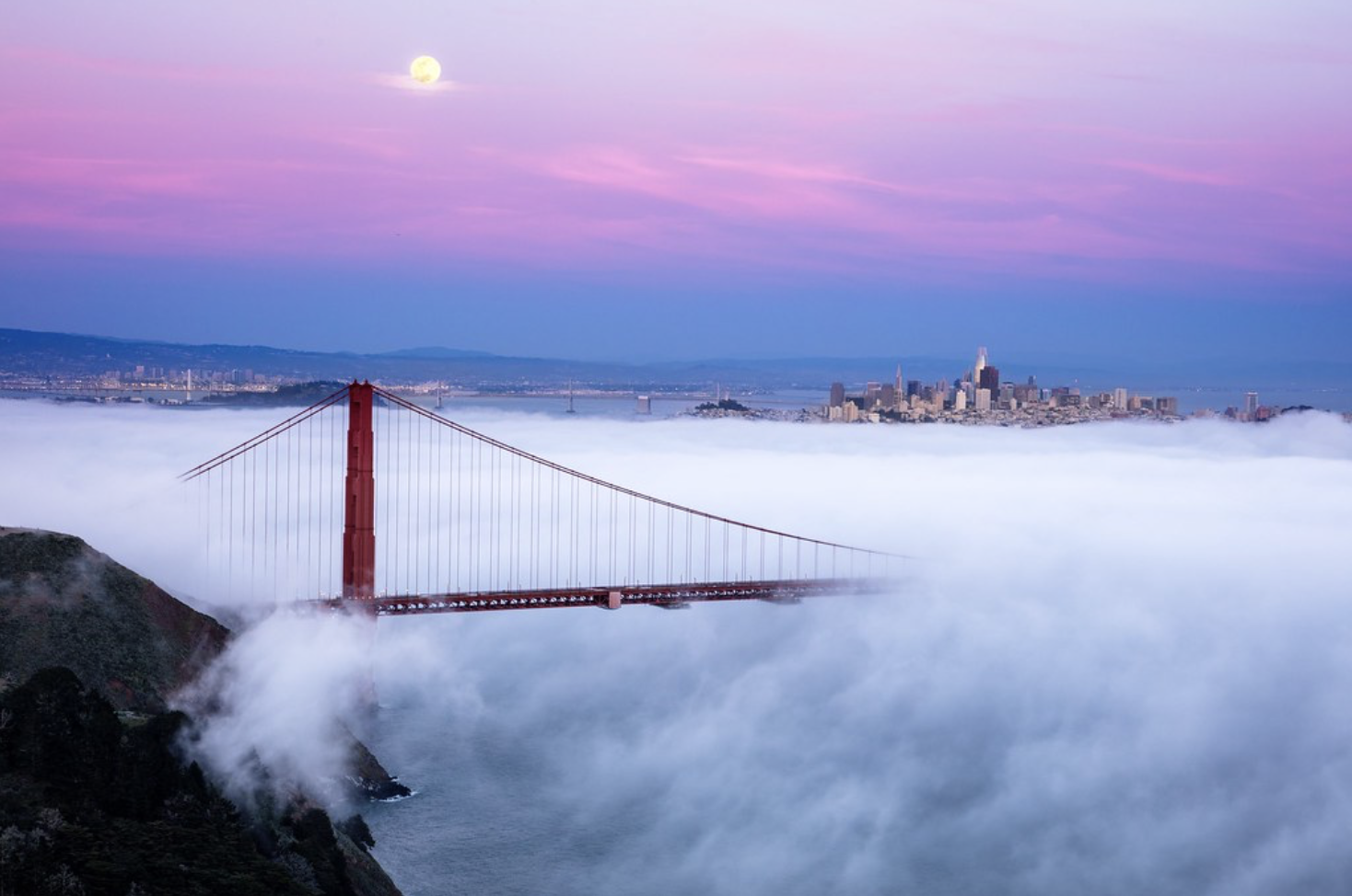 Avatar for elevation consulting group