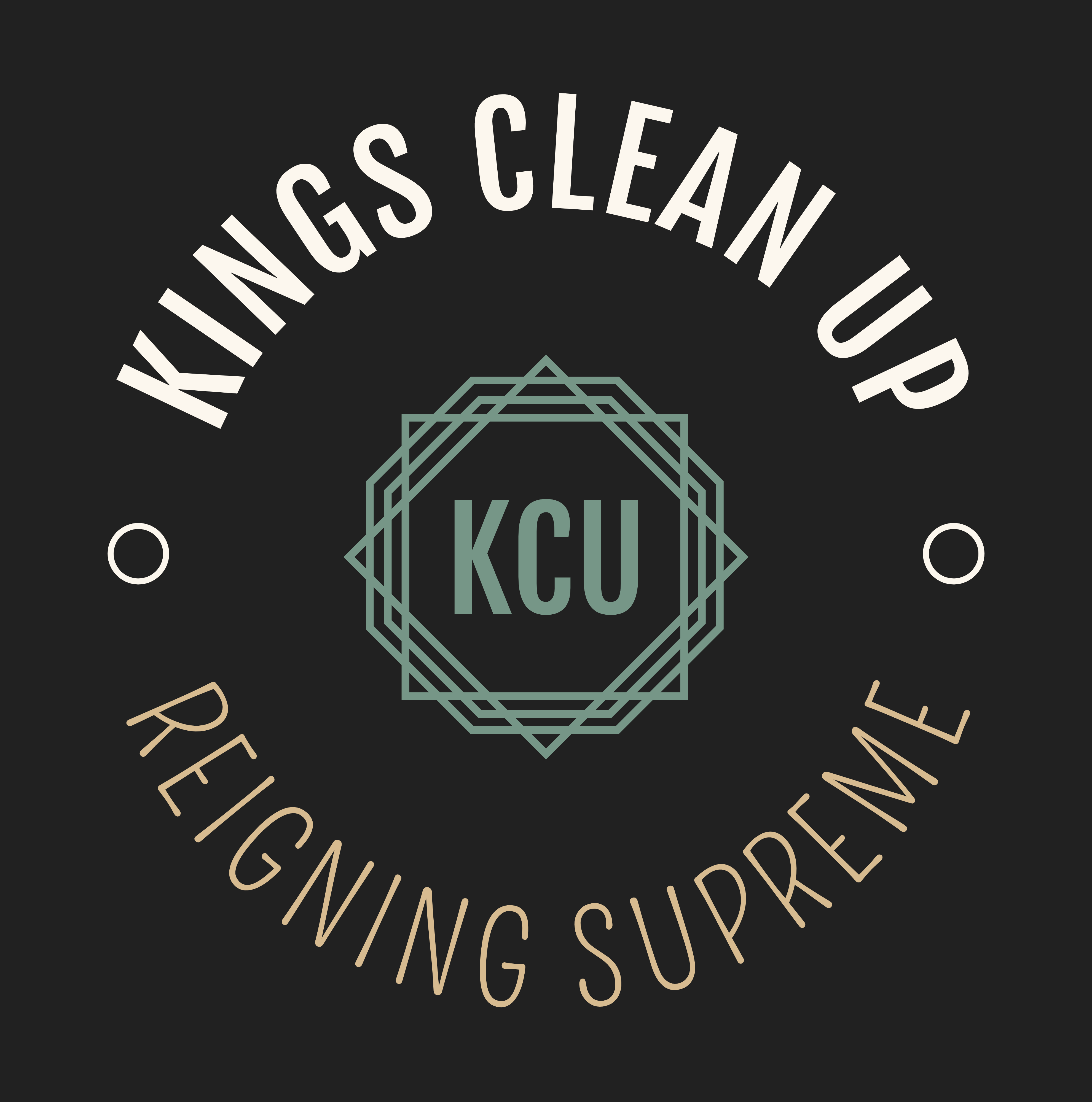 KINGS CLEAN UP LLC logo