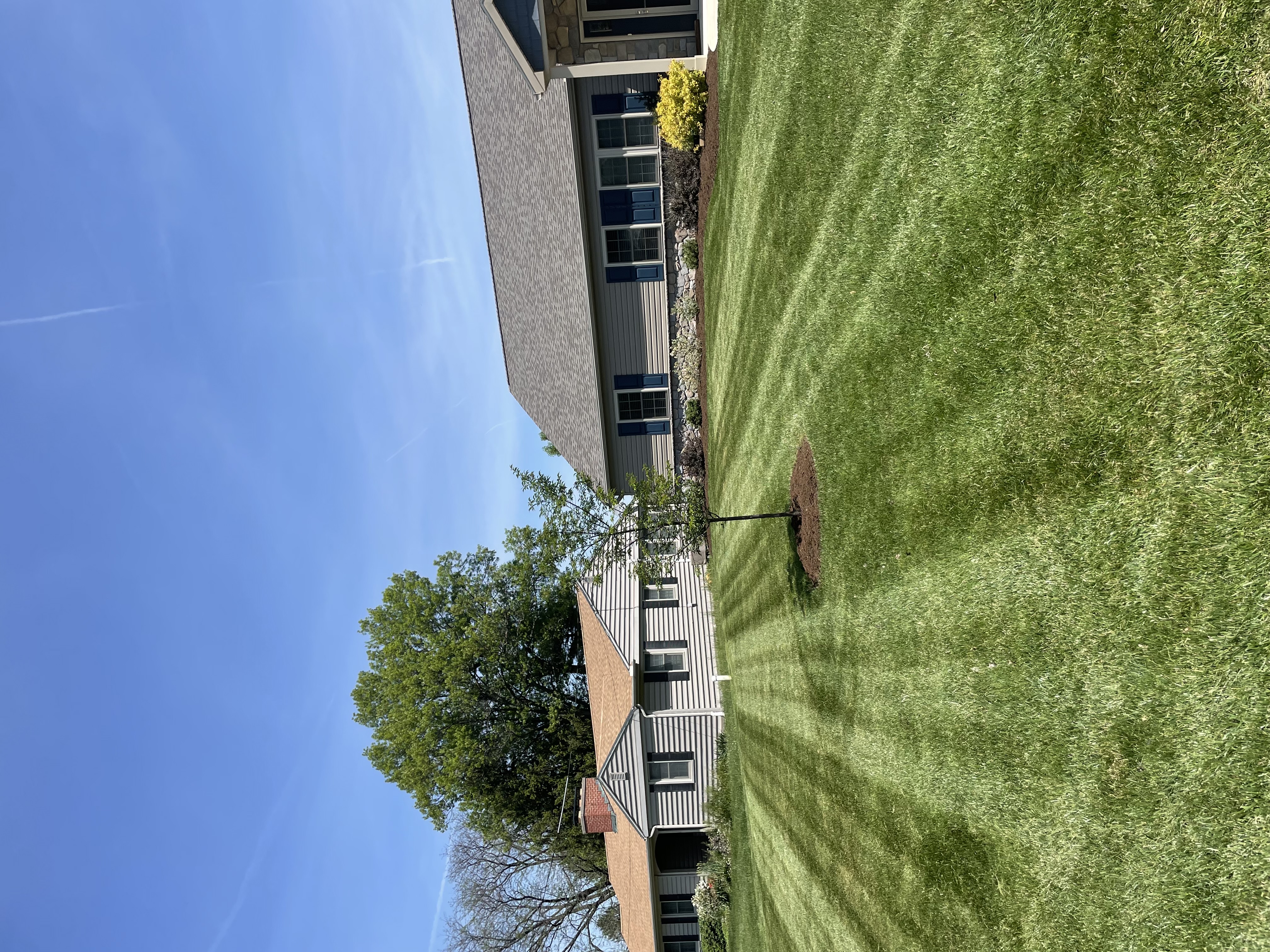 Avatar for Beauty view landscaping