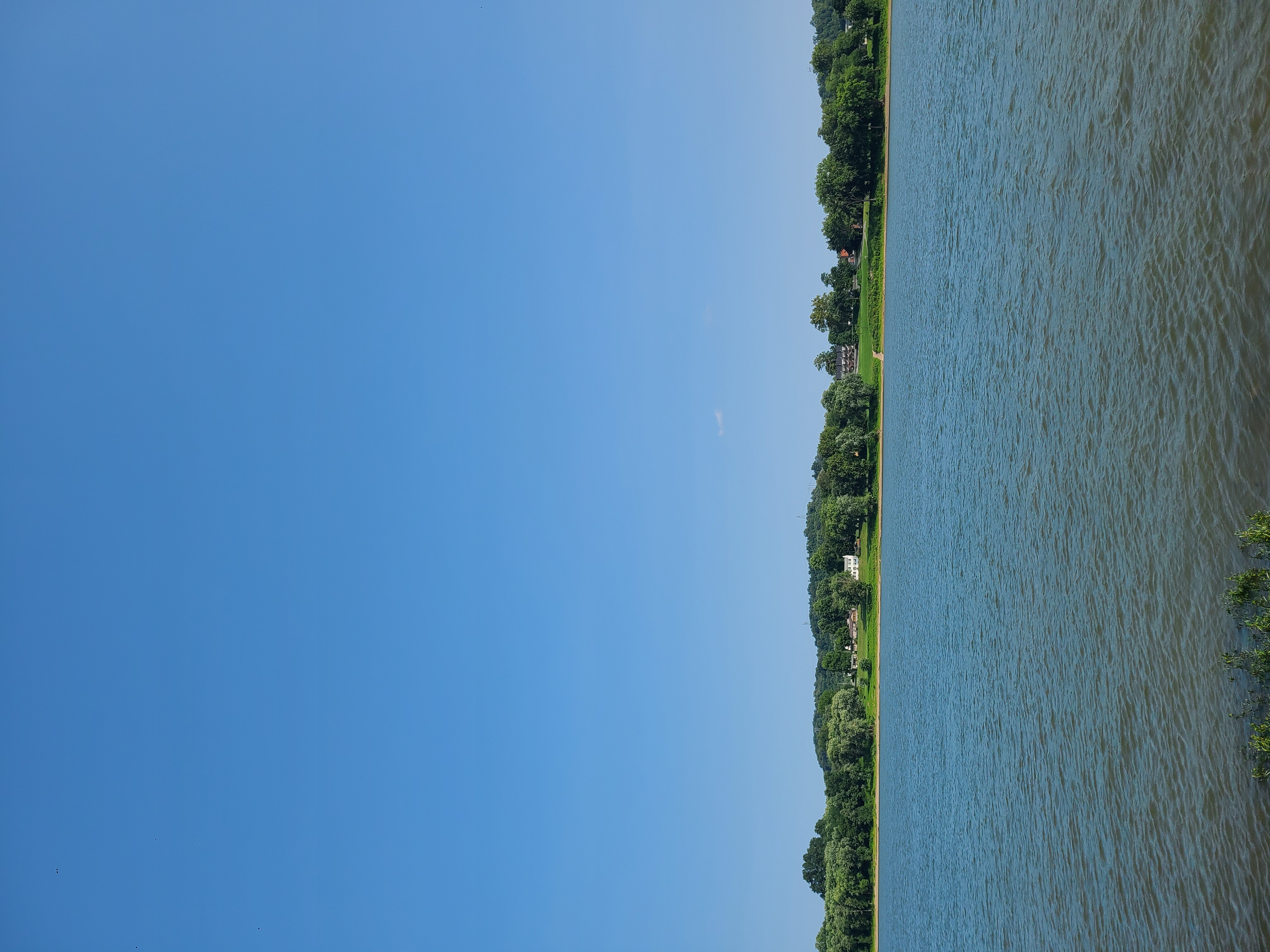 Avatar for Straight Line