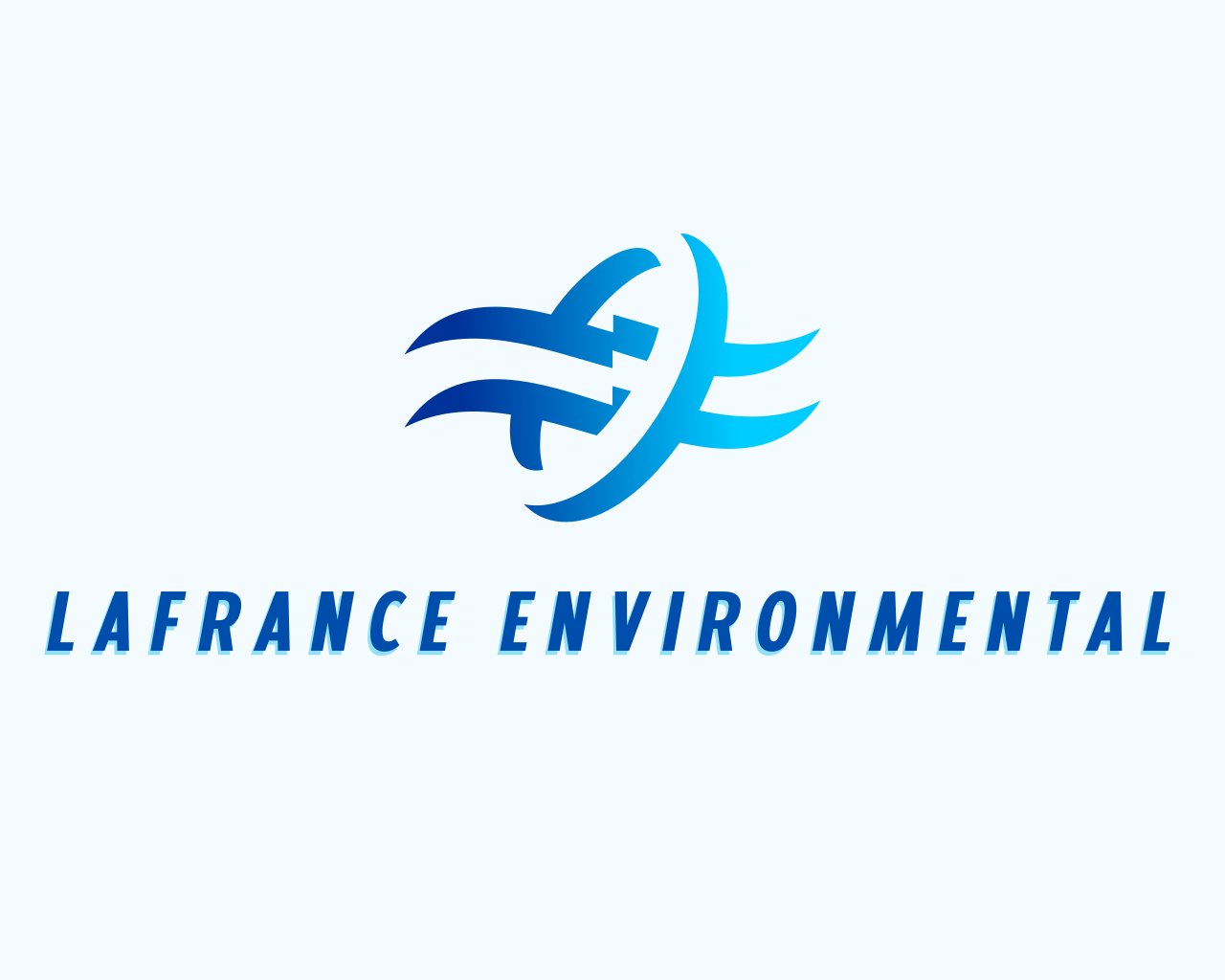 Avatar for LaFrance Environmental