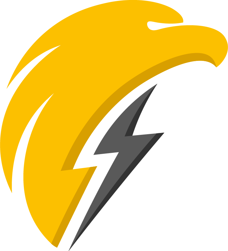 Hervis Electron Power logo