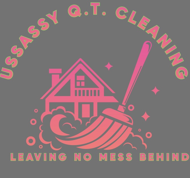 USsassy Q.T. Cleaning logo