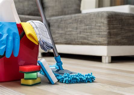 Julias cleaning service logo