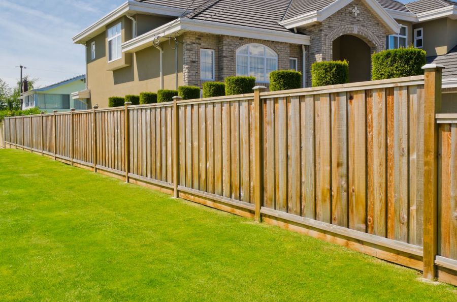Dmans tree removal and fencing logo