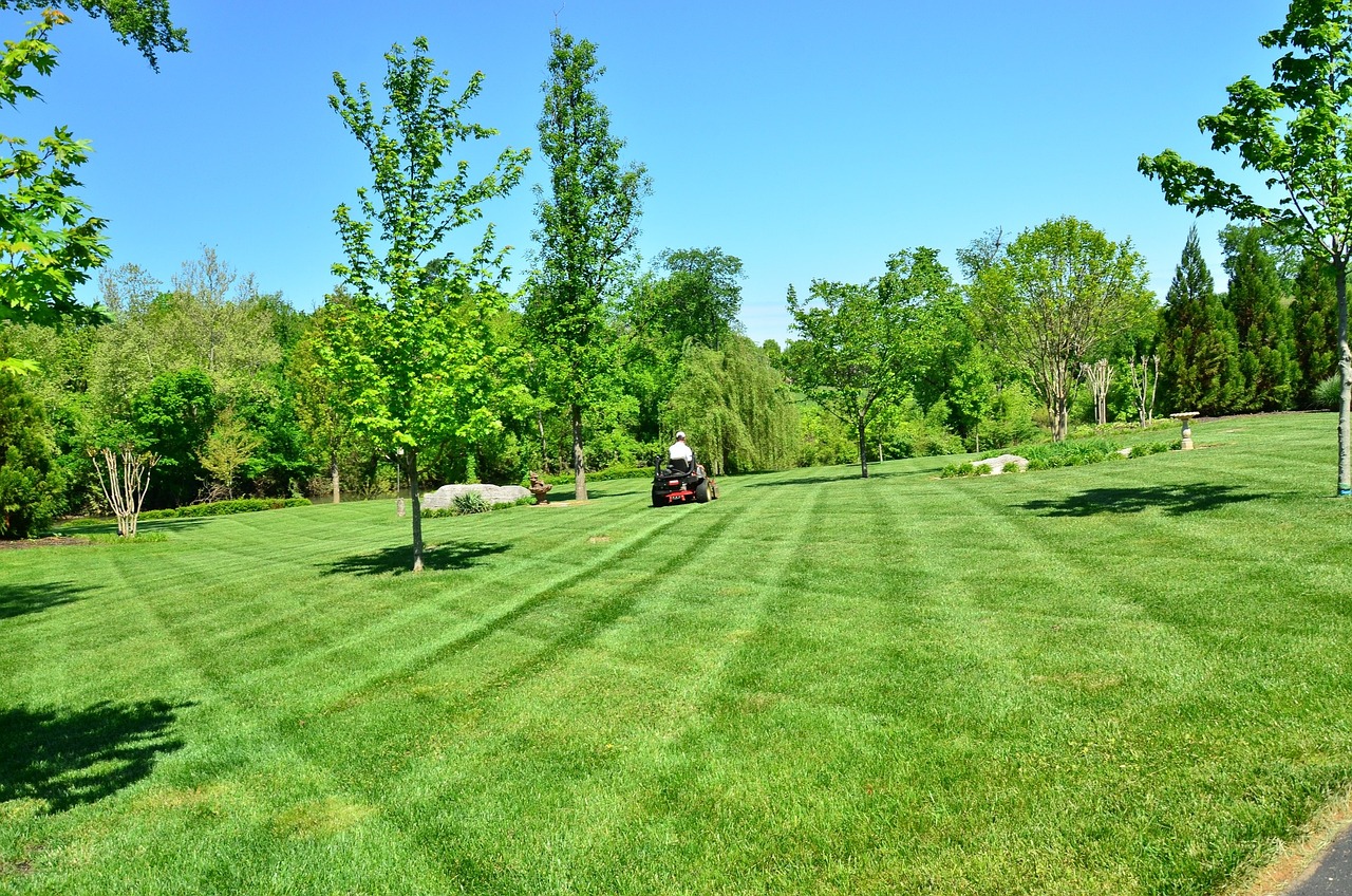 Lopez Lawn logo