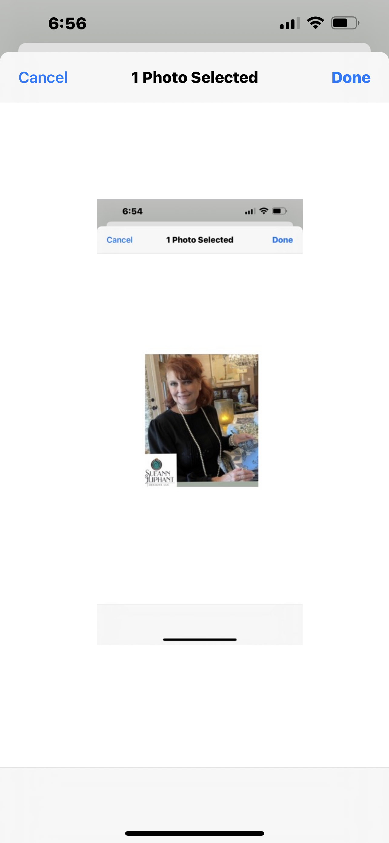 Sueann Oliphant Designs logo