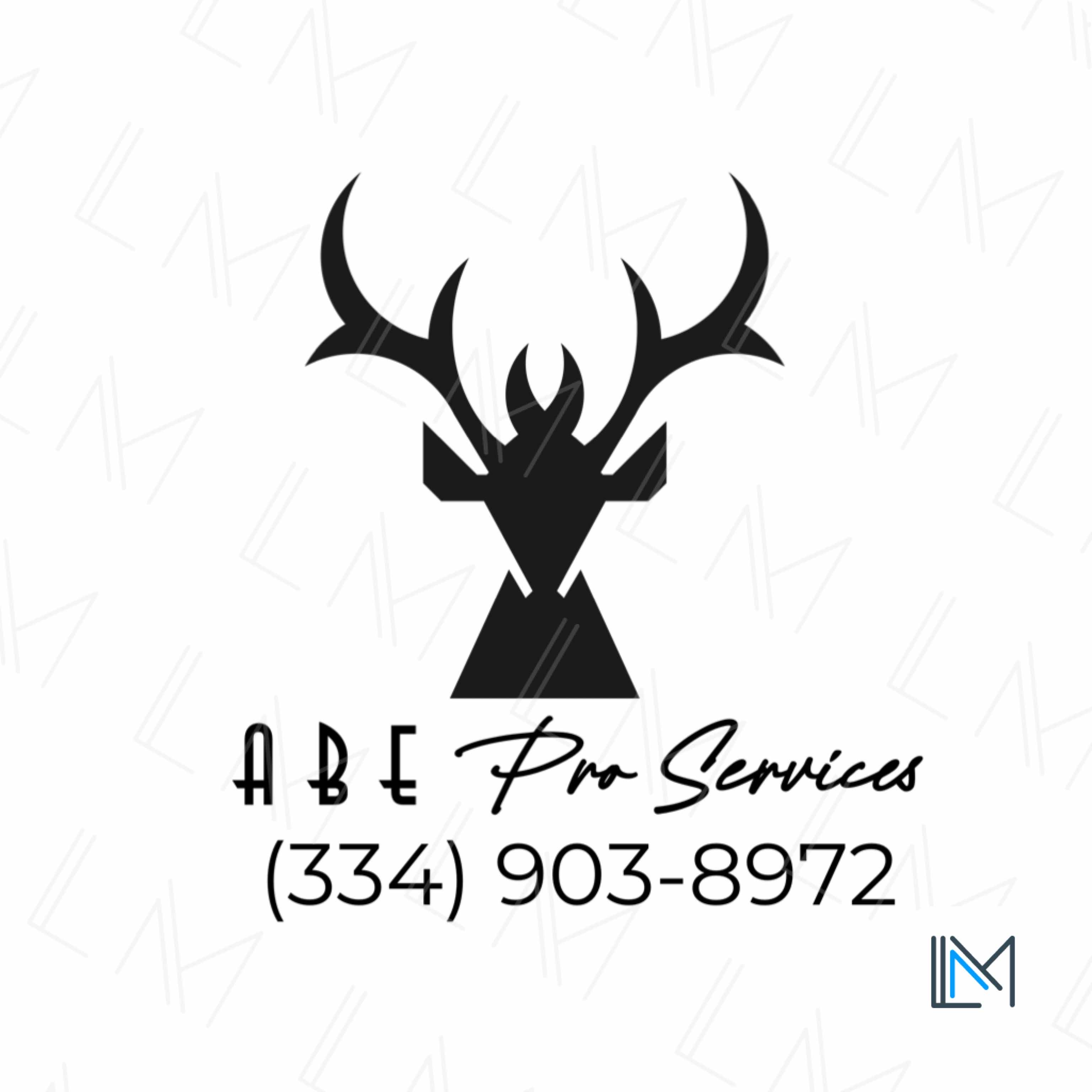 ABE Pro Services logo