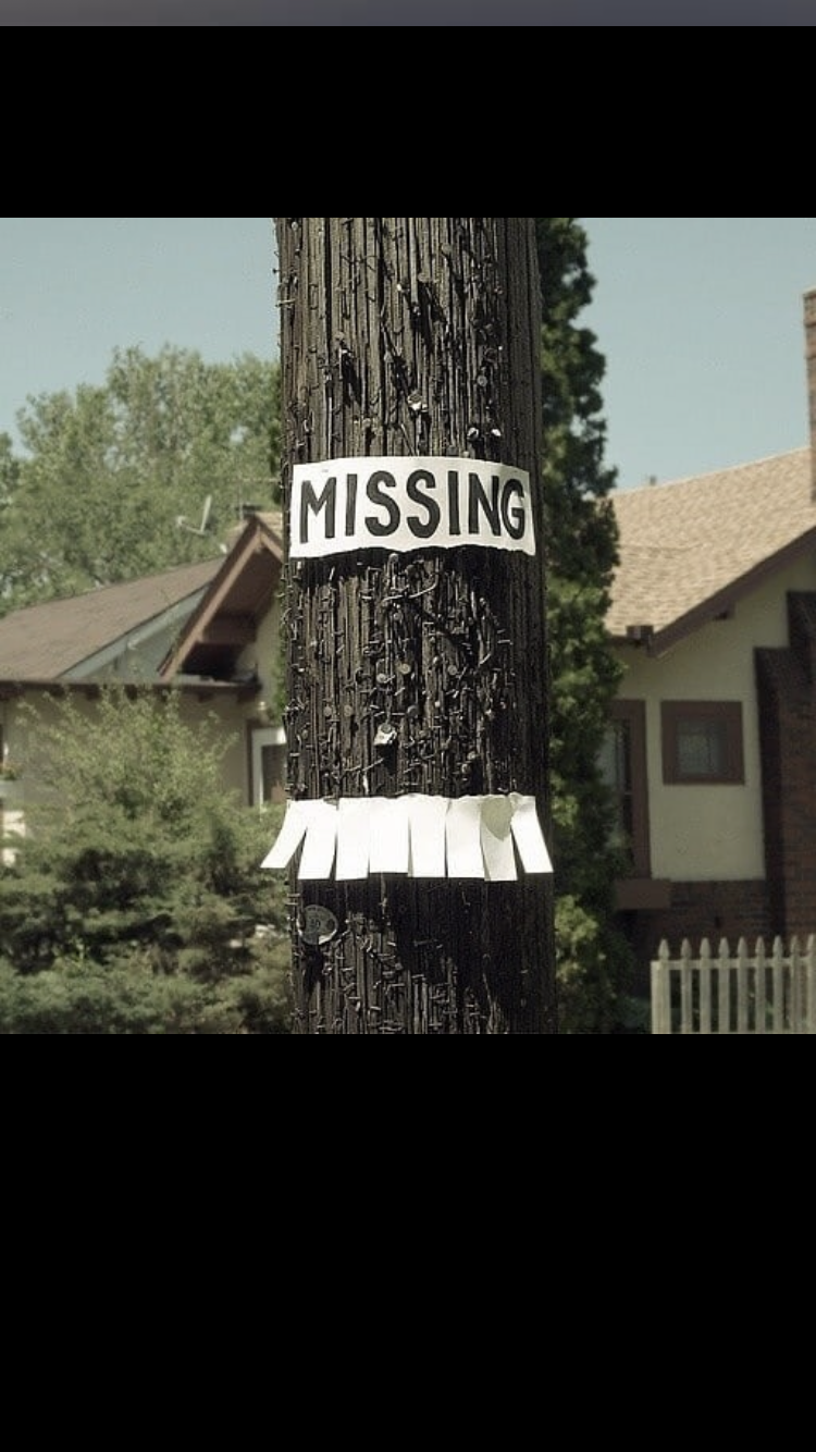 Avatar for Gillermo Navas