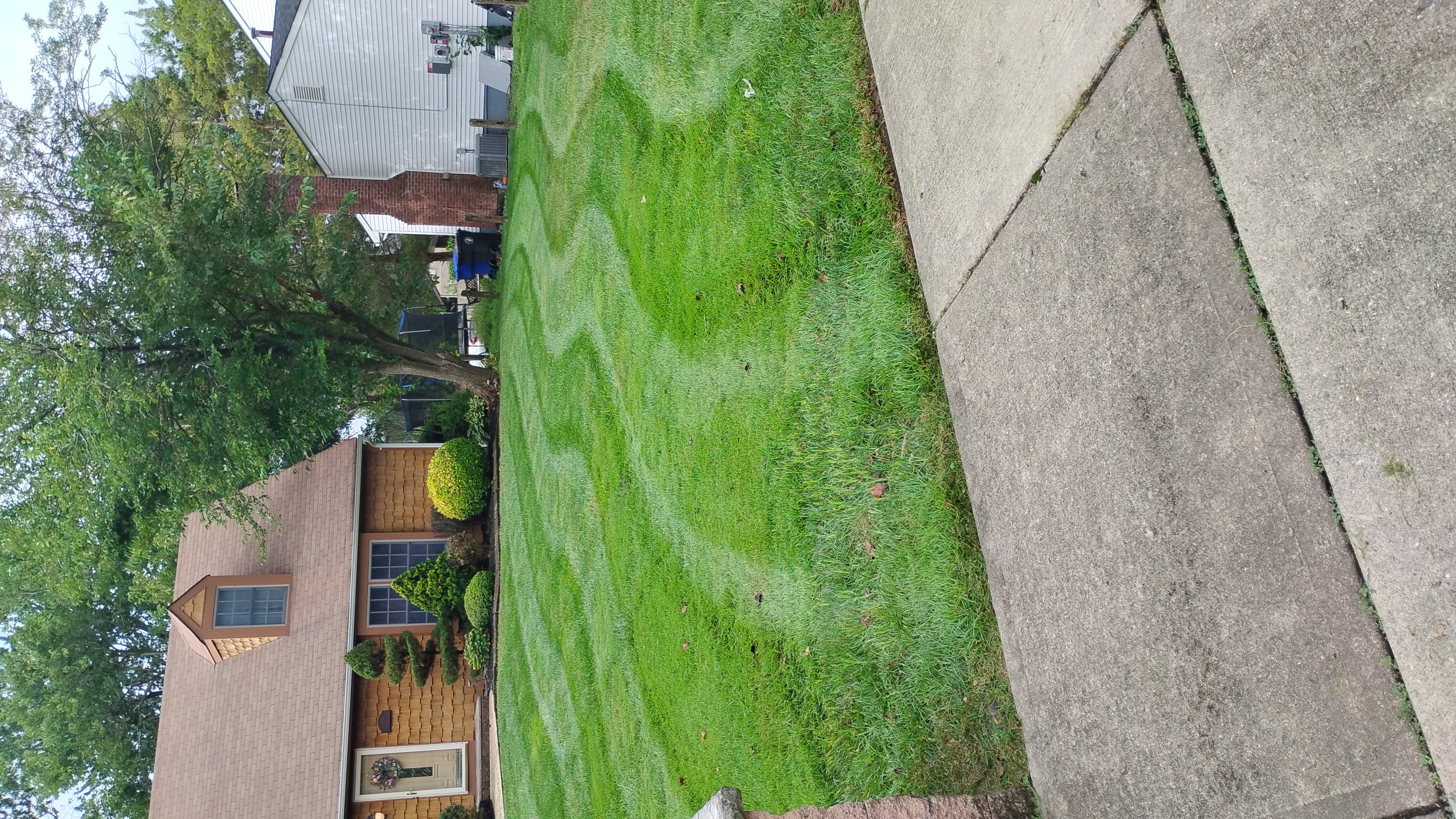 Avatar for Cades lawn care