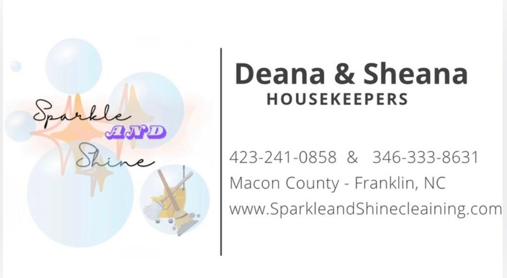 Sparkle & Shine logo