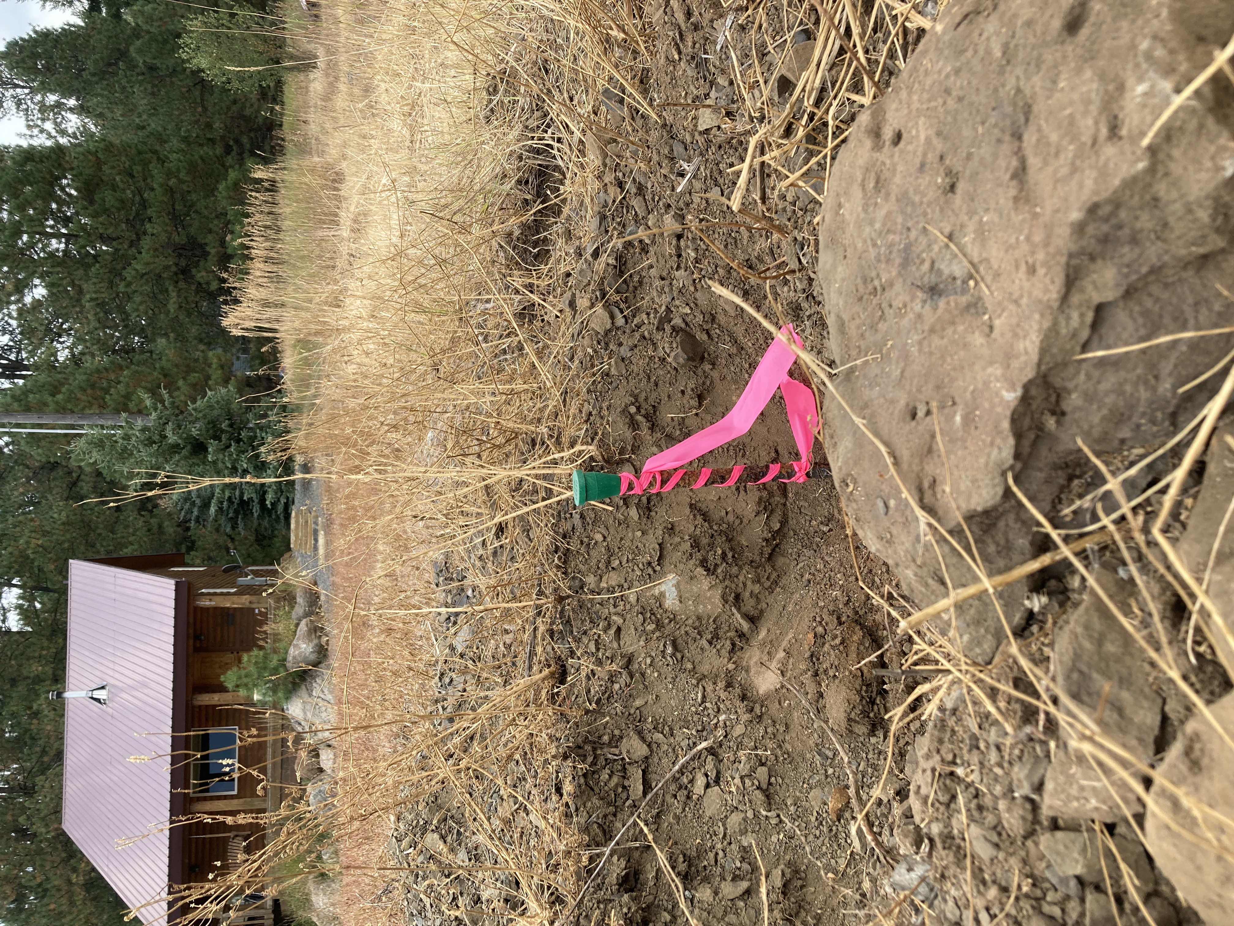 Avatar for 43 North Land Surveying