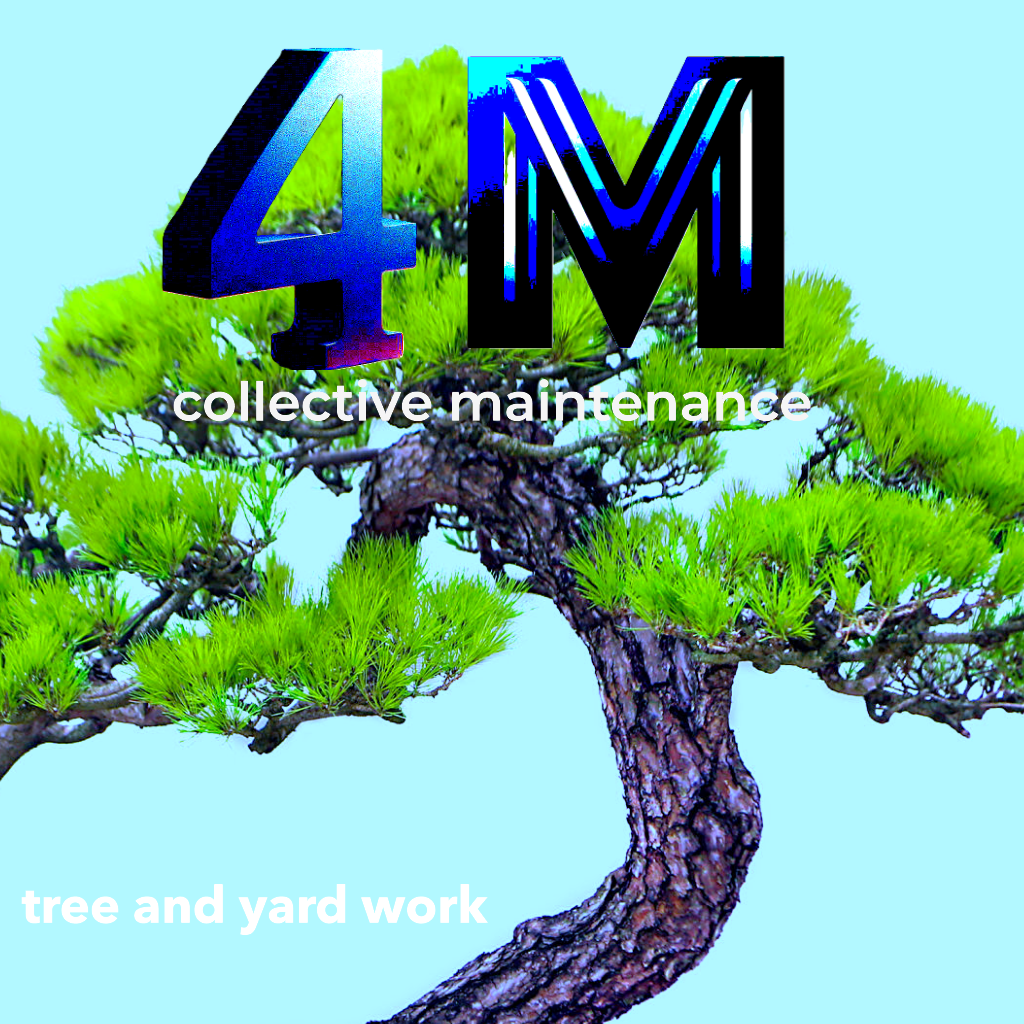 Avatar for 4M Collective Maintenance