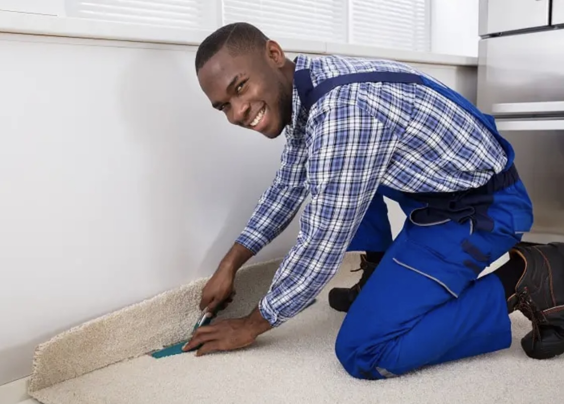 Alicia carpets logo