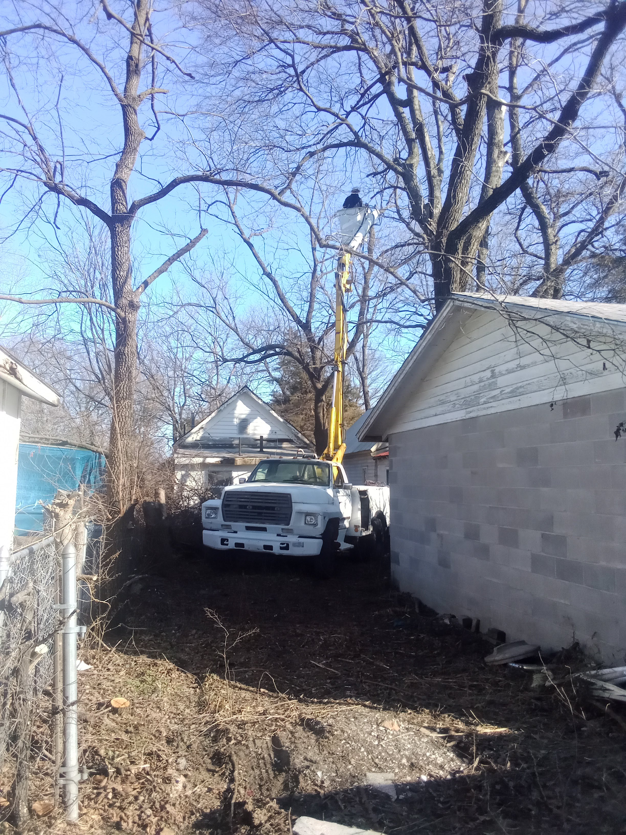 Smiths tree service logo